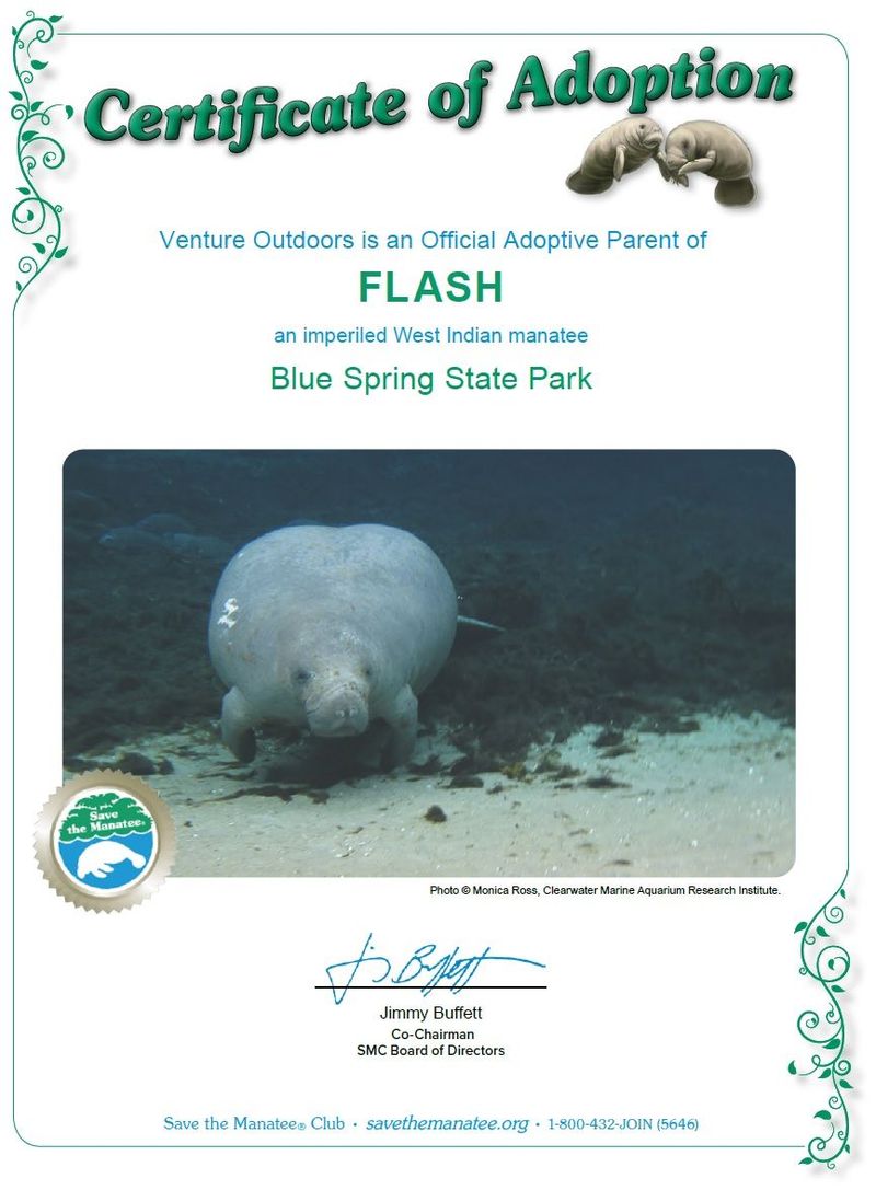 Venture Outdoors official manatee adoption certificate for Flash