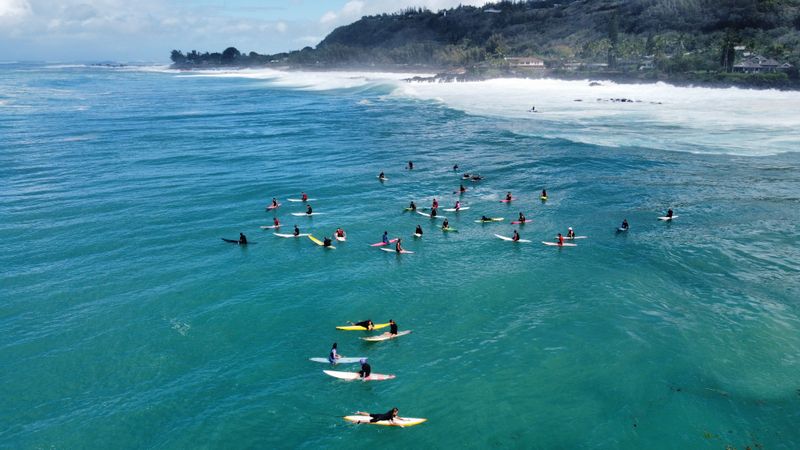 Waimea Surfers