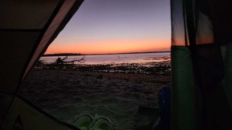 View from inside a tent at sunrise during an off-grid Everglades kayak camping expedition in Florida