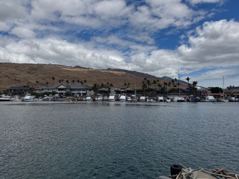 Some commercial boats that were based in Lahaina have temporarily relocated to Ma&rsquo;alaea Harbor in Central Maui. HJI / ROB COLLIAS photo