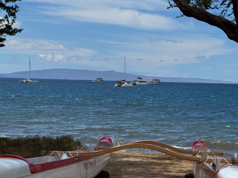 ome commercial boats are now anchored at the Sugar Beach mooring pod. HJI / ROB COLLIAS photo