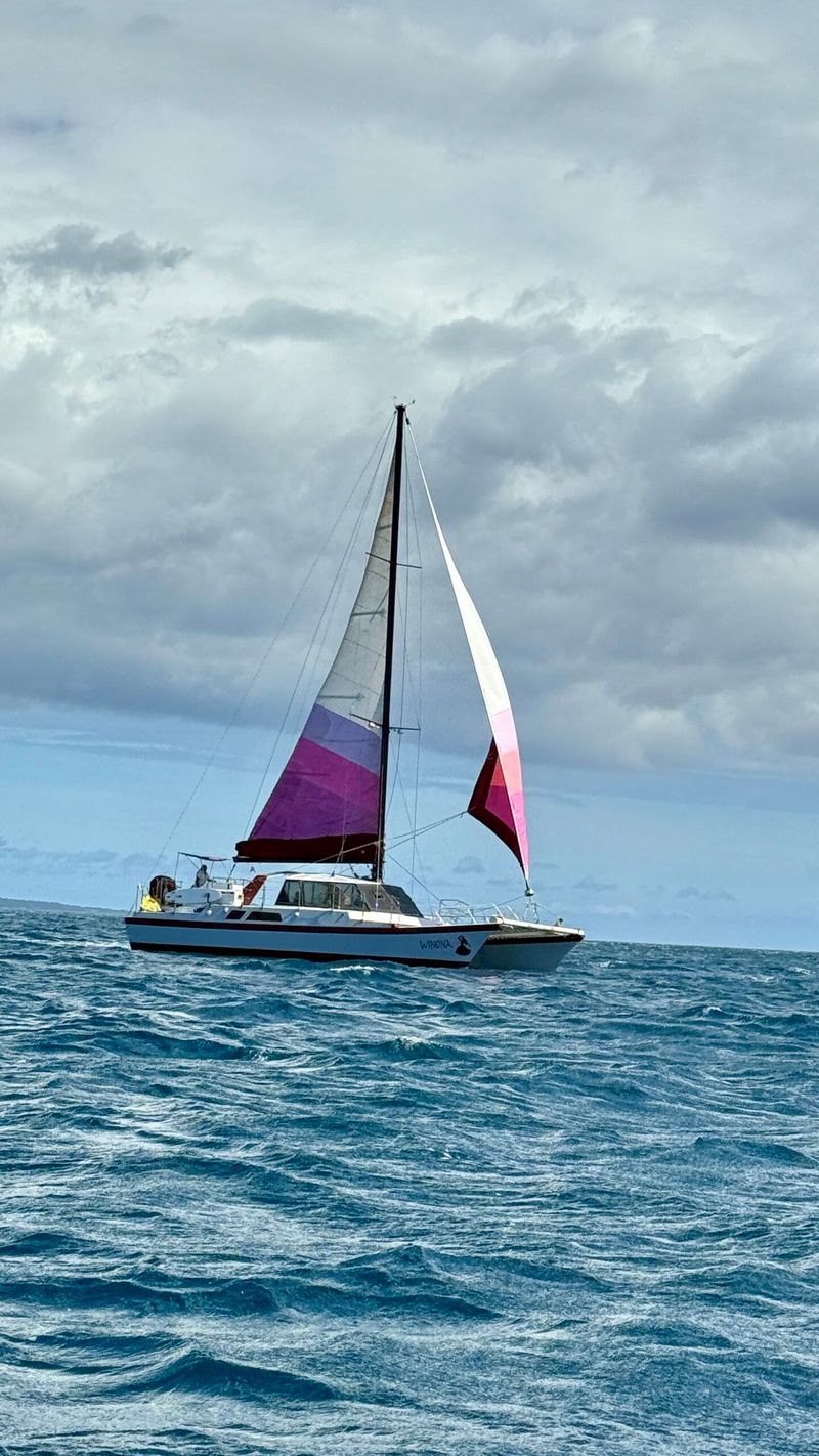 The Winona, a 50-foot Murakami catamaran, survived the Lahaina fire because it was moored offshore. Courtesy photo