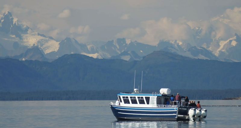 Guaranteed Whale Watching Tours