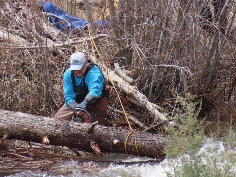 Large runoff year in 2023 San Juan River clean up