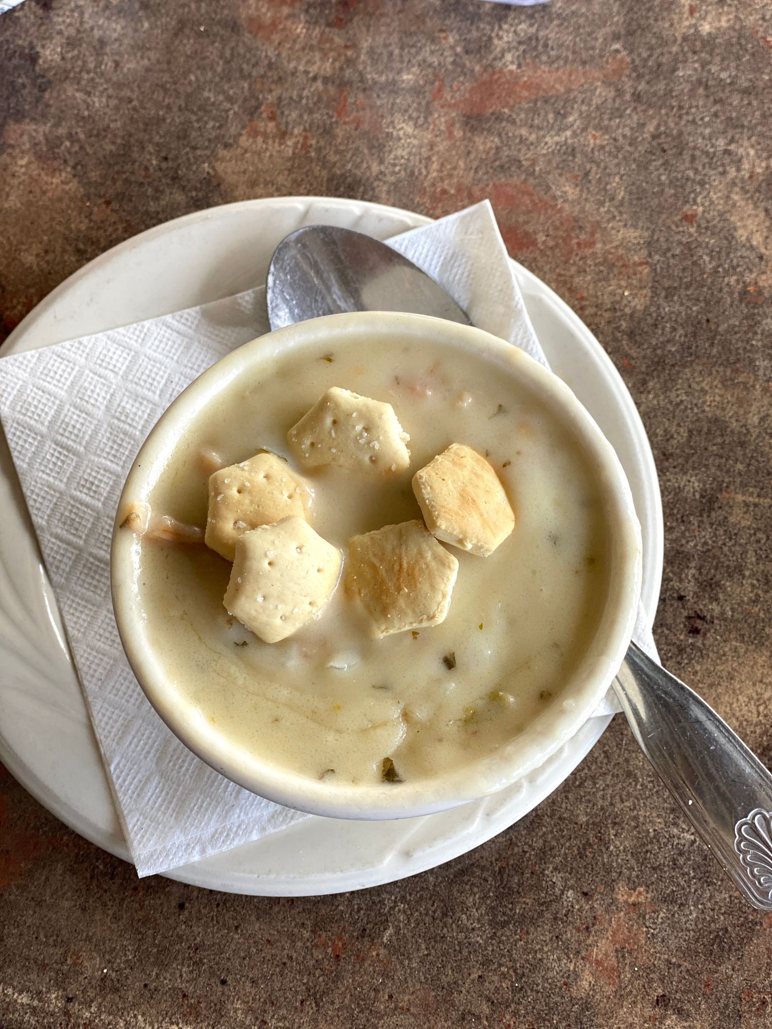 cup of soup
