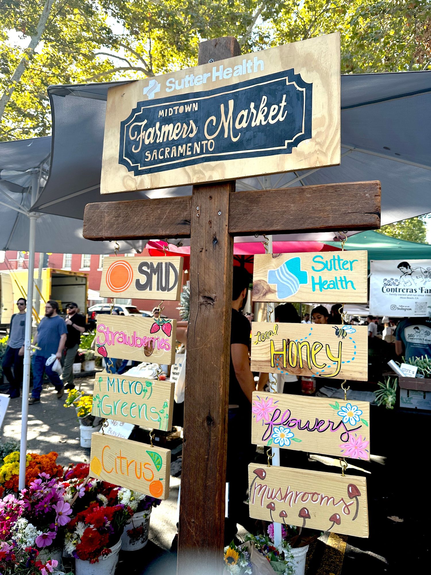 sign posts