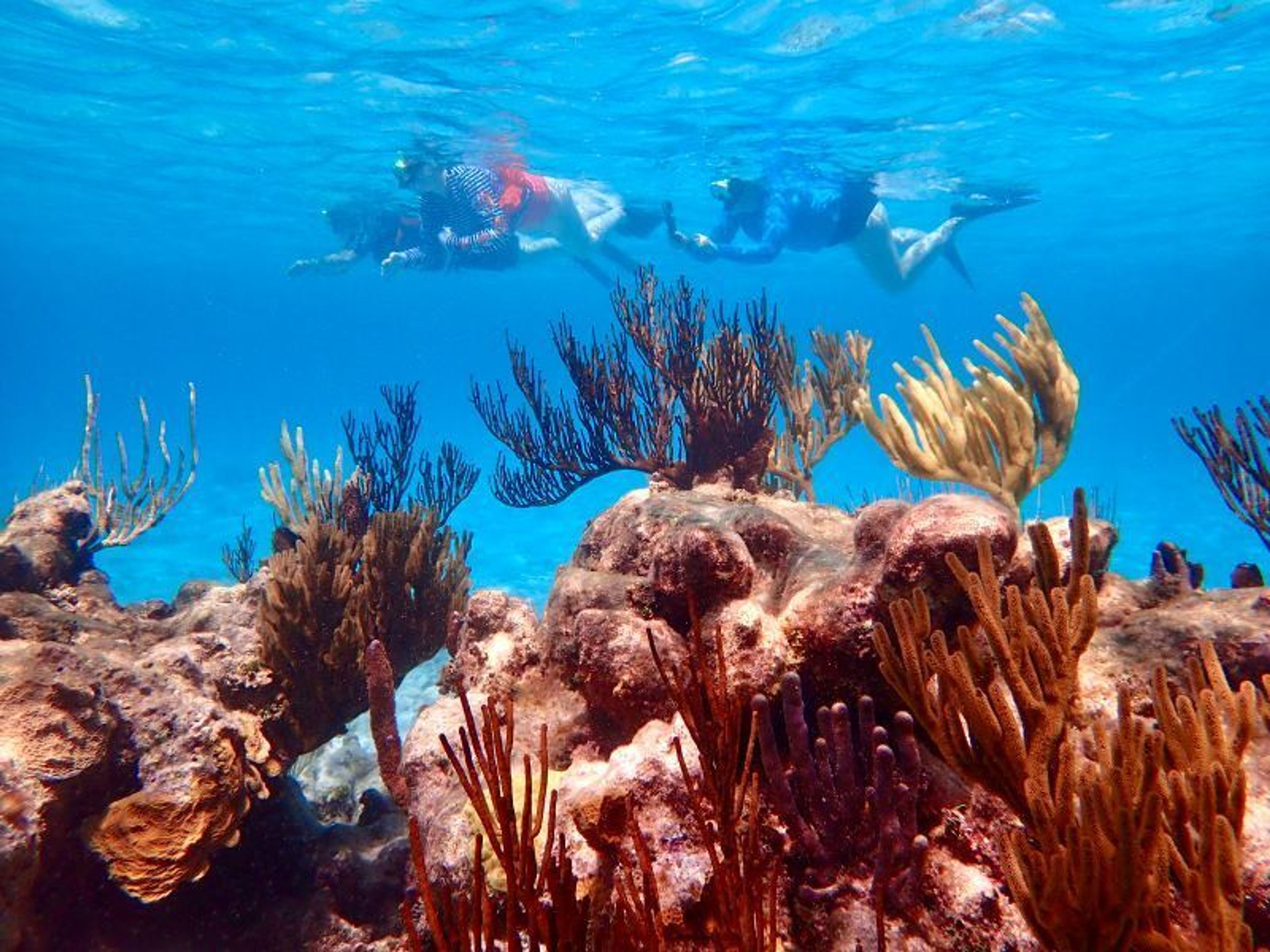 Private Excursions - Image 4