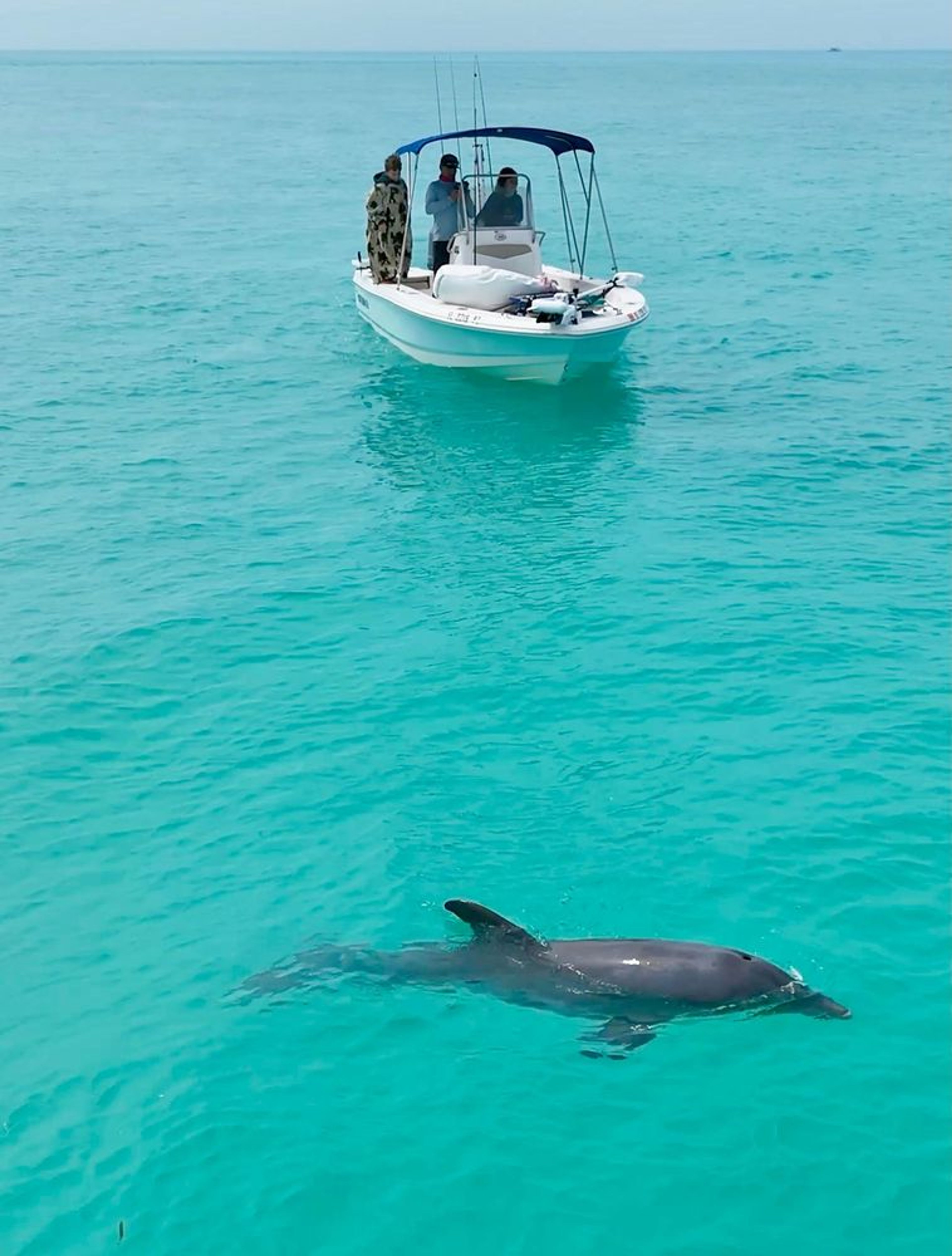 Private Budget Friendly Key West Small Boat Sandbar Hop - Image 4