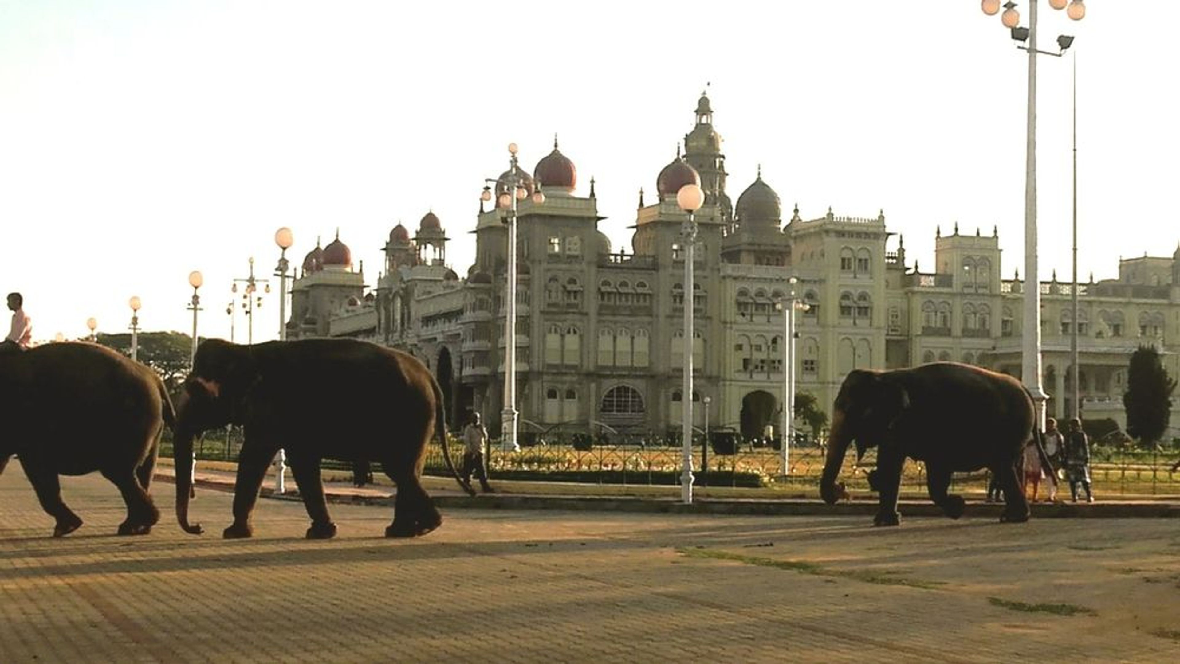 THE BEST OF MYSORE/MYSURU, SOMNATHPUR & SRIRANGAPATNA IN A DAY - Image 1