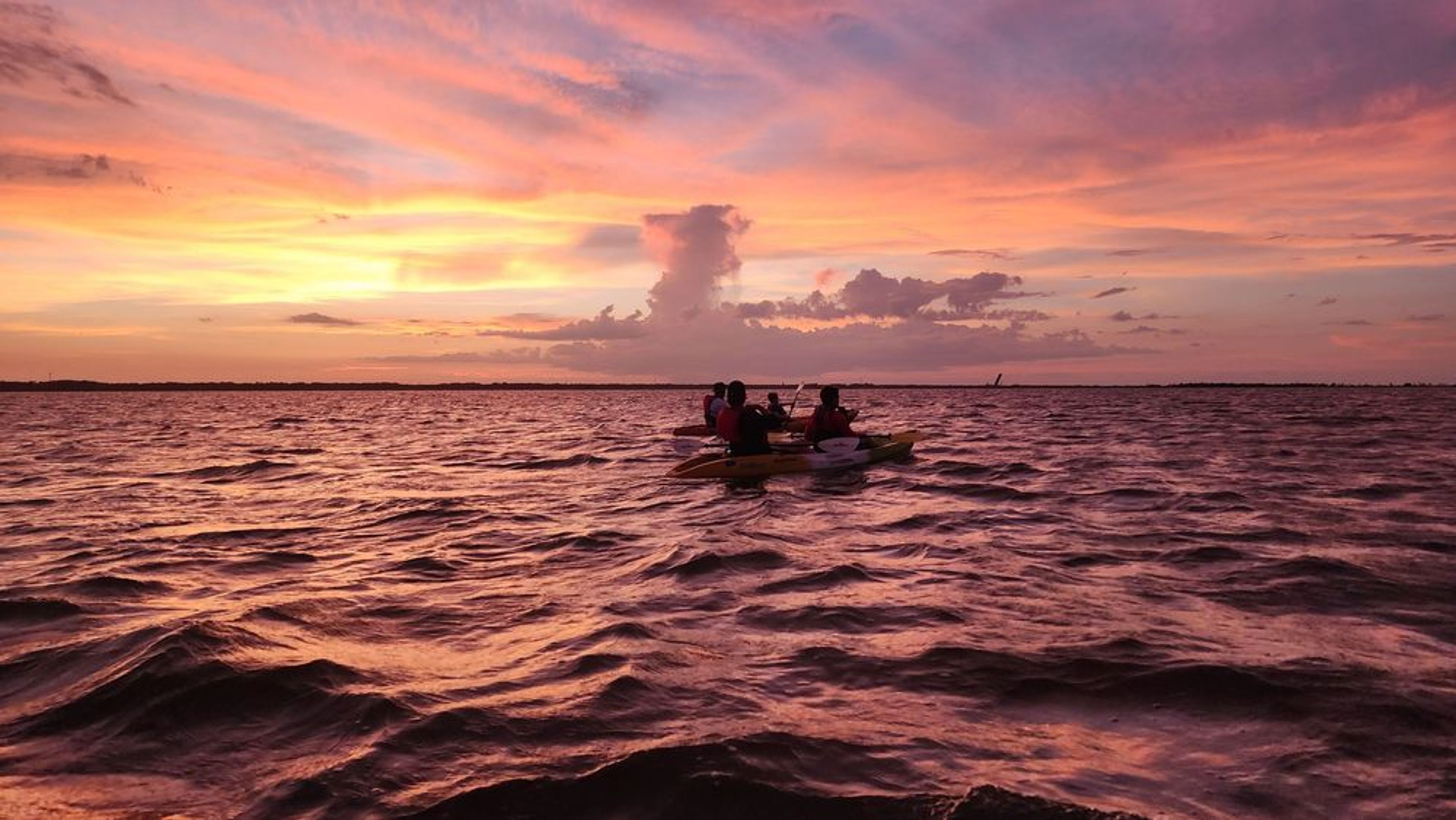 Magic After Dark Bioluminescence Kayak Tour - Image 2