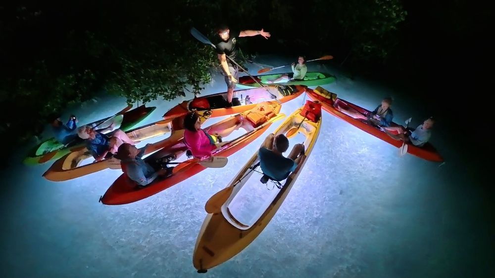 Night Kayak Guided Tour  - Image 1