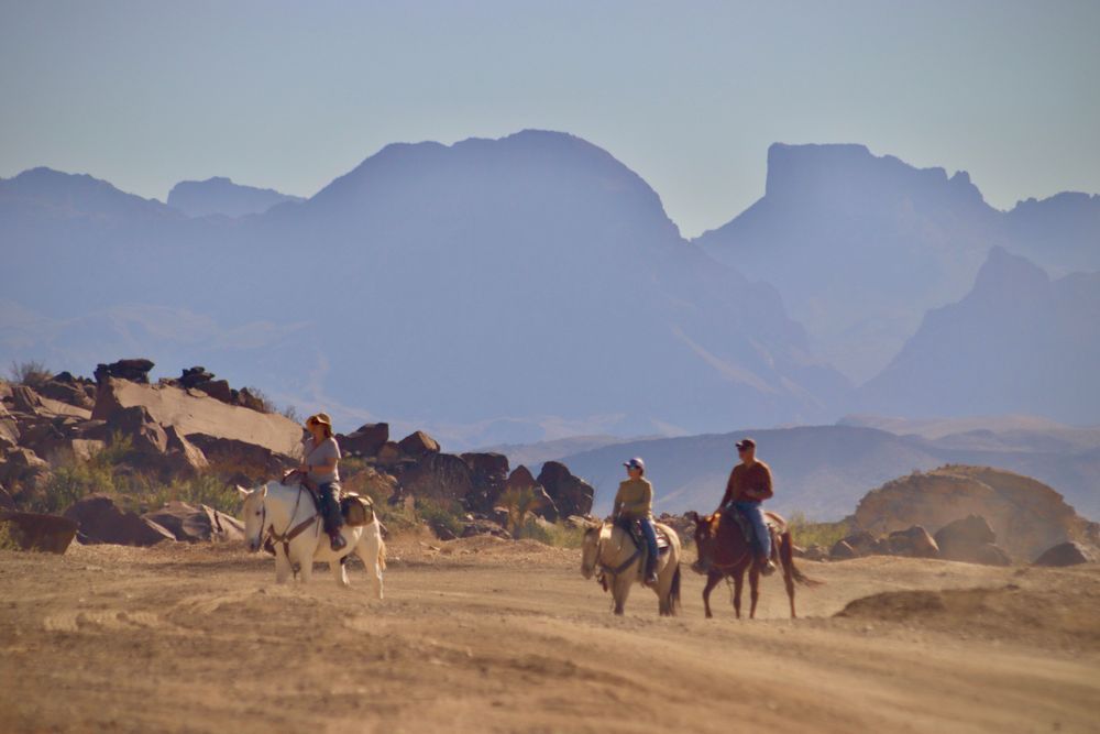 Big Bend Stables - Half Day with Lunch - Image 3