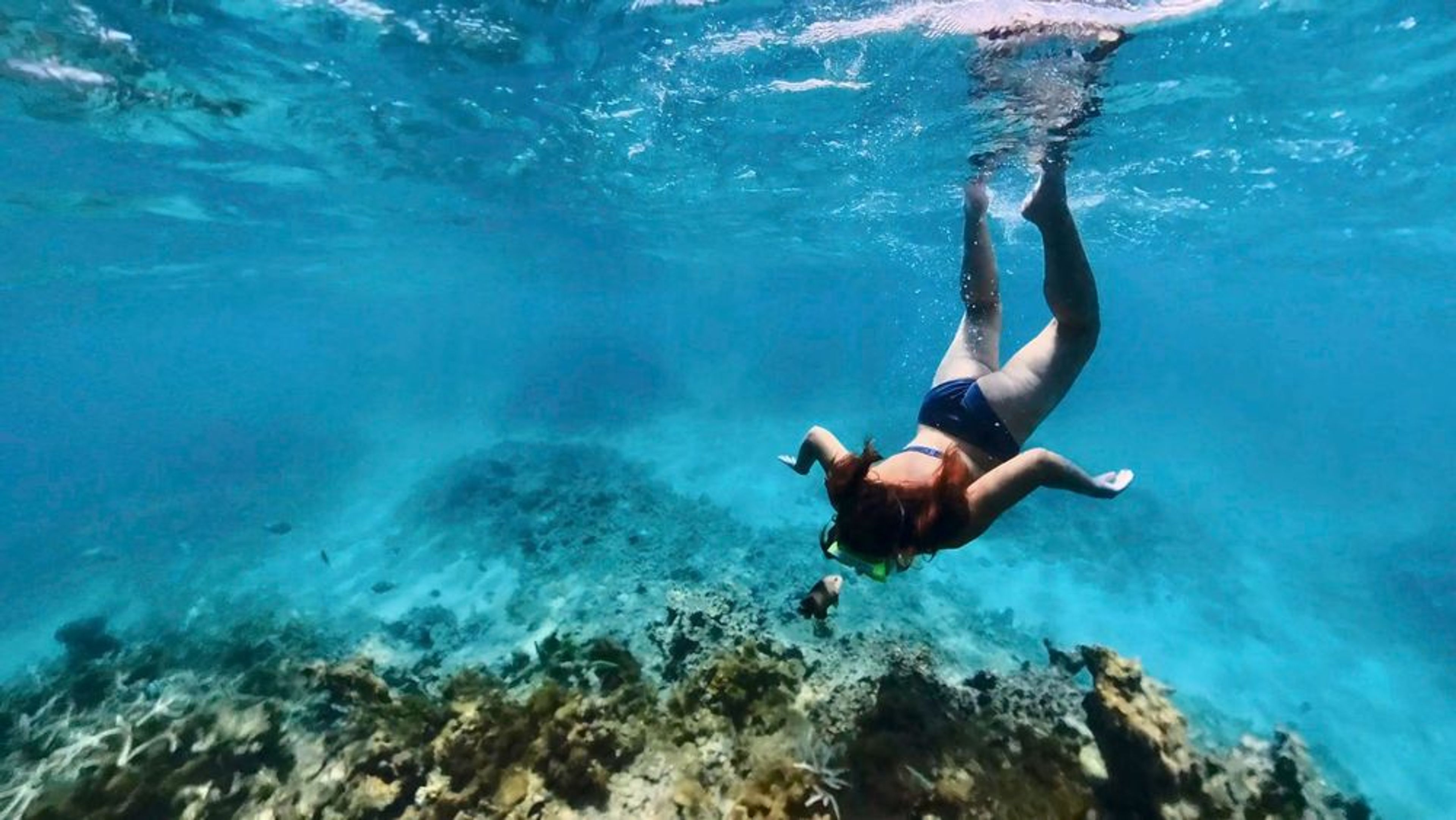 5 Islands Boat Tour Mauritius | Island Hopping & Snorkeling - Image 4