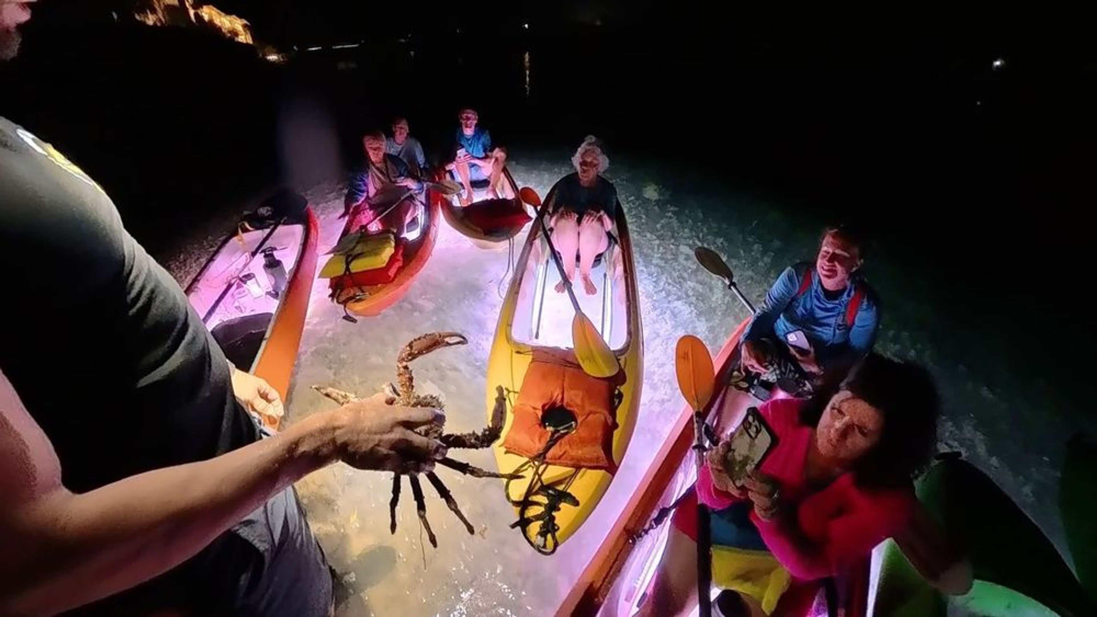 Night Kayak Guided Tour  - Image 3