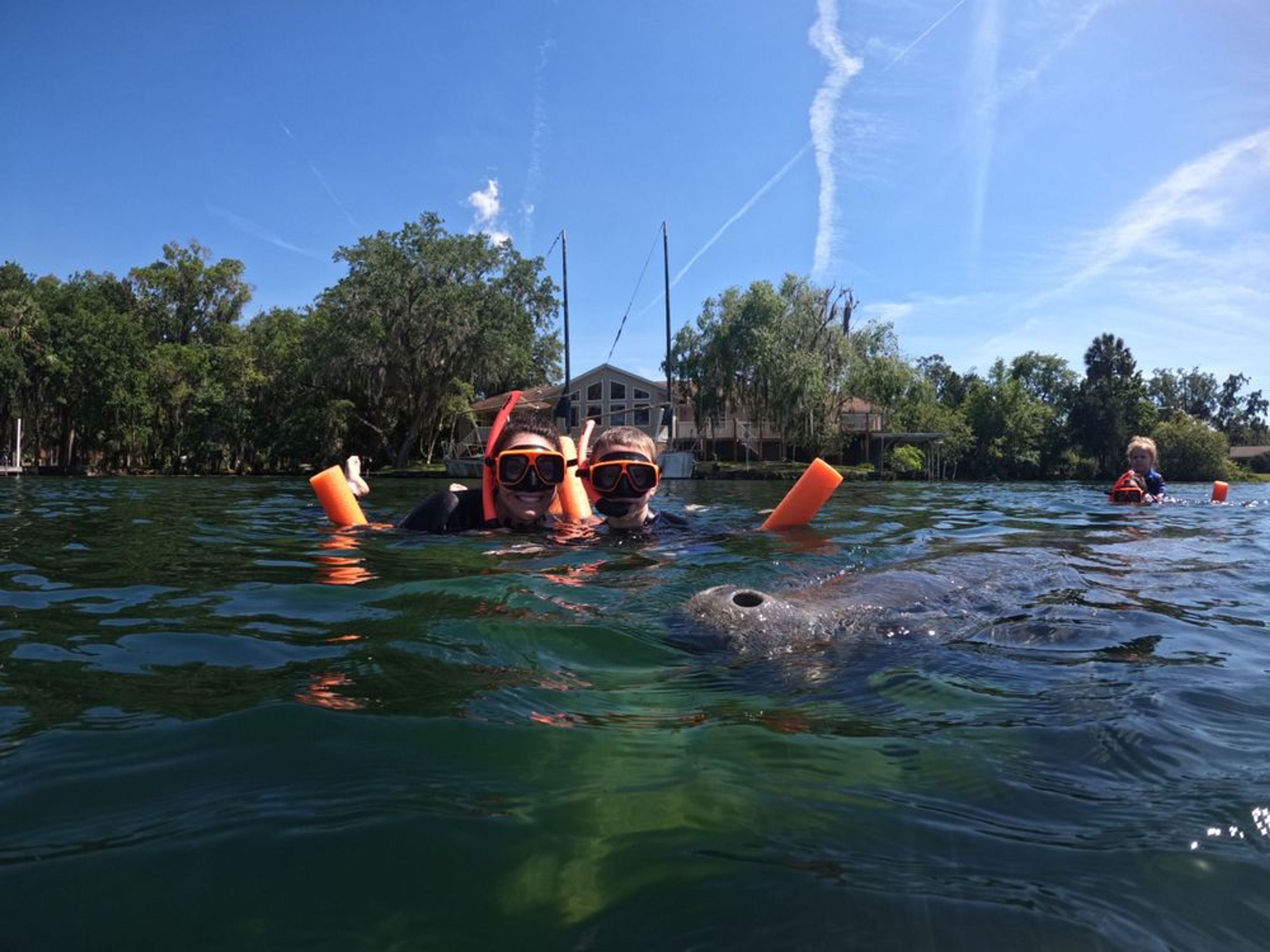 Private Manatee Snorkeling Tour with Free Photos - Image 2