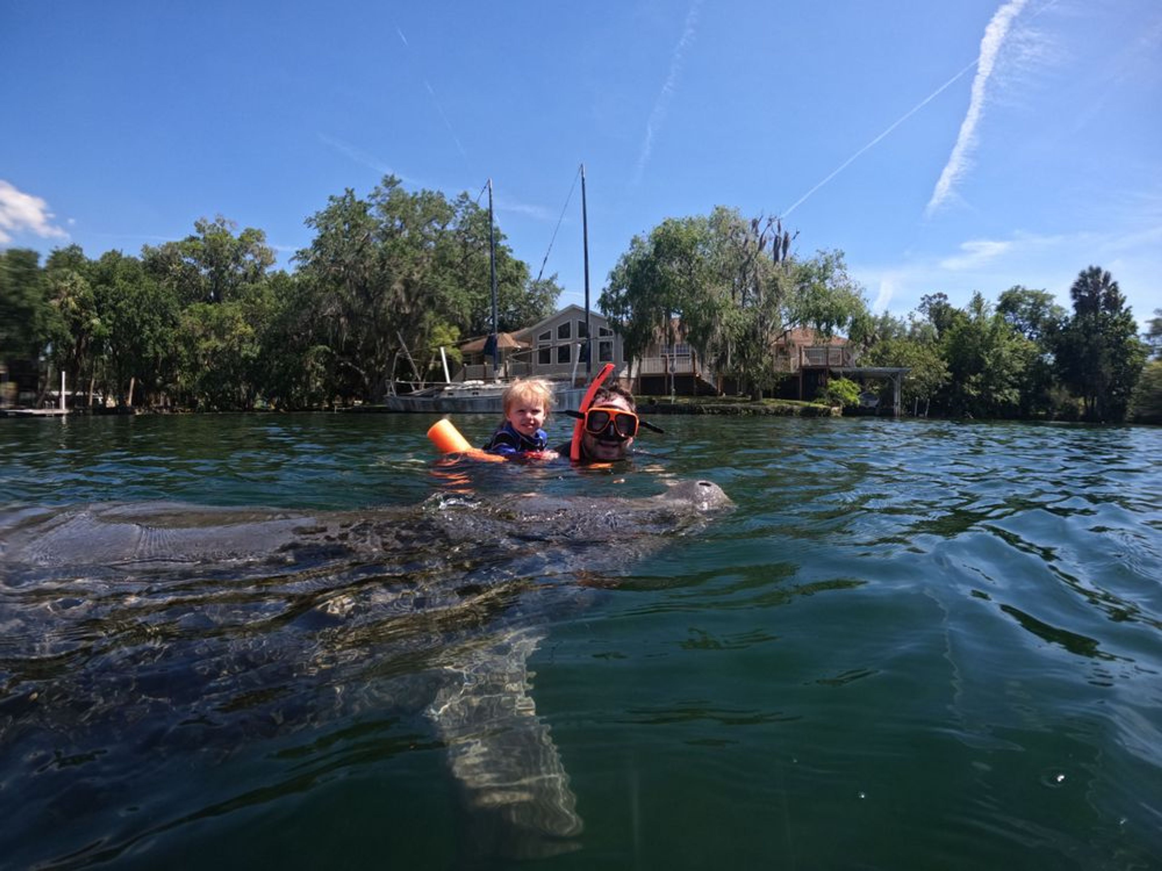 Private Manatee Snorkeling Tour with Free Photos - Image 3