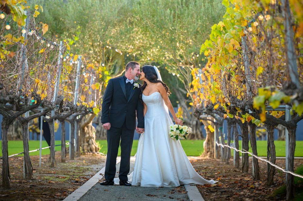Wedding Celebrations - Image 4