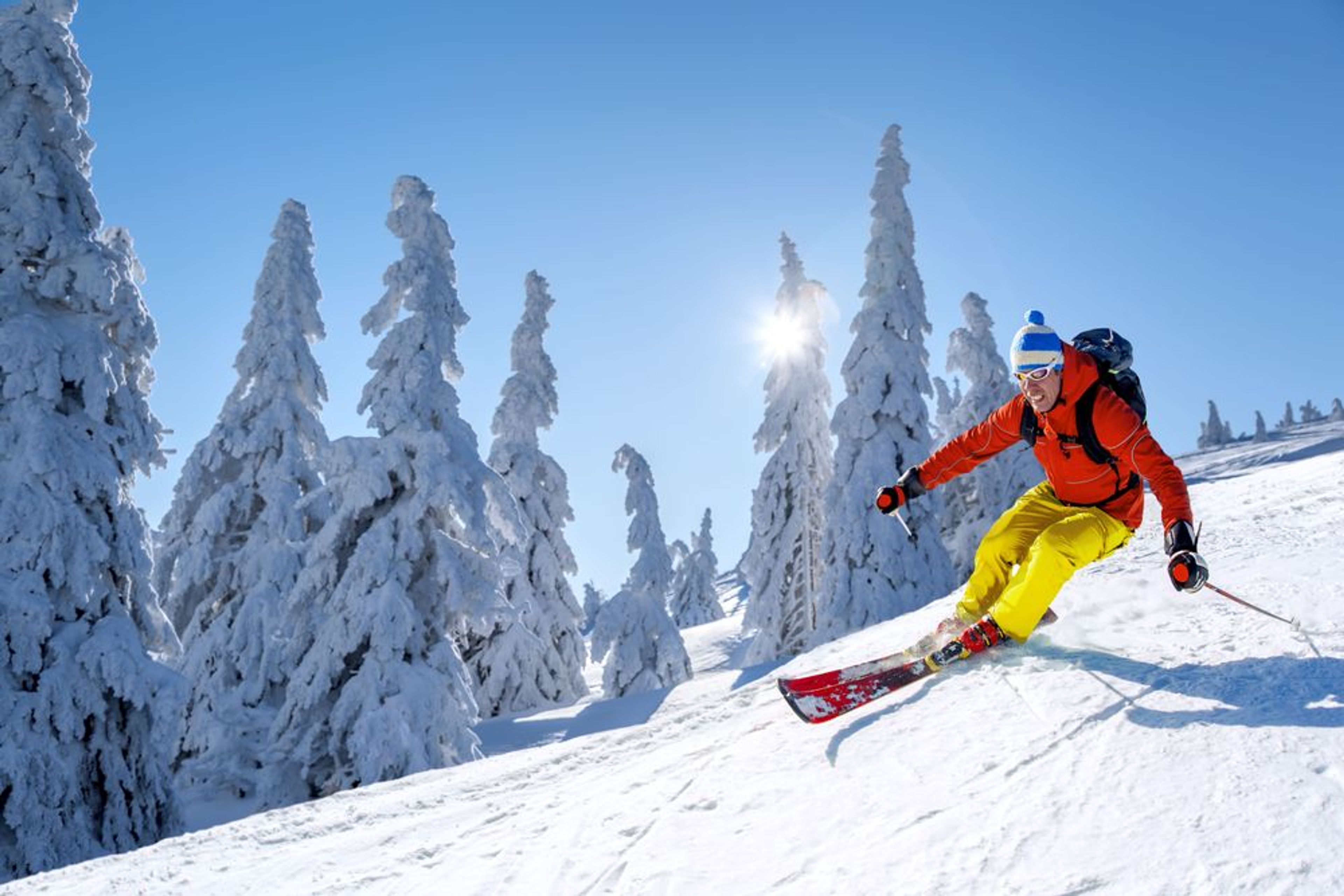 Alpine Skiing 