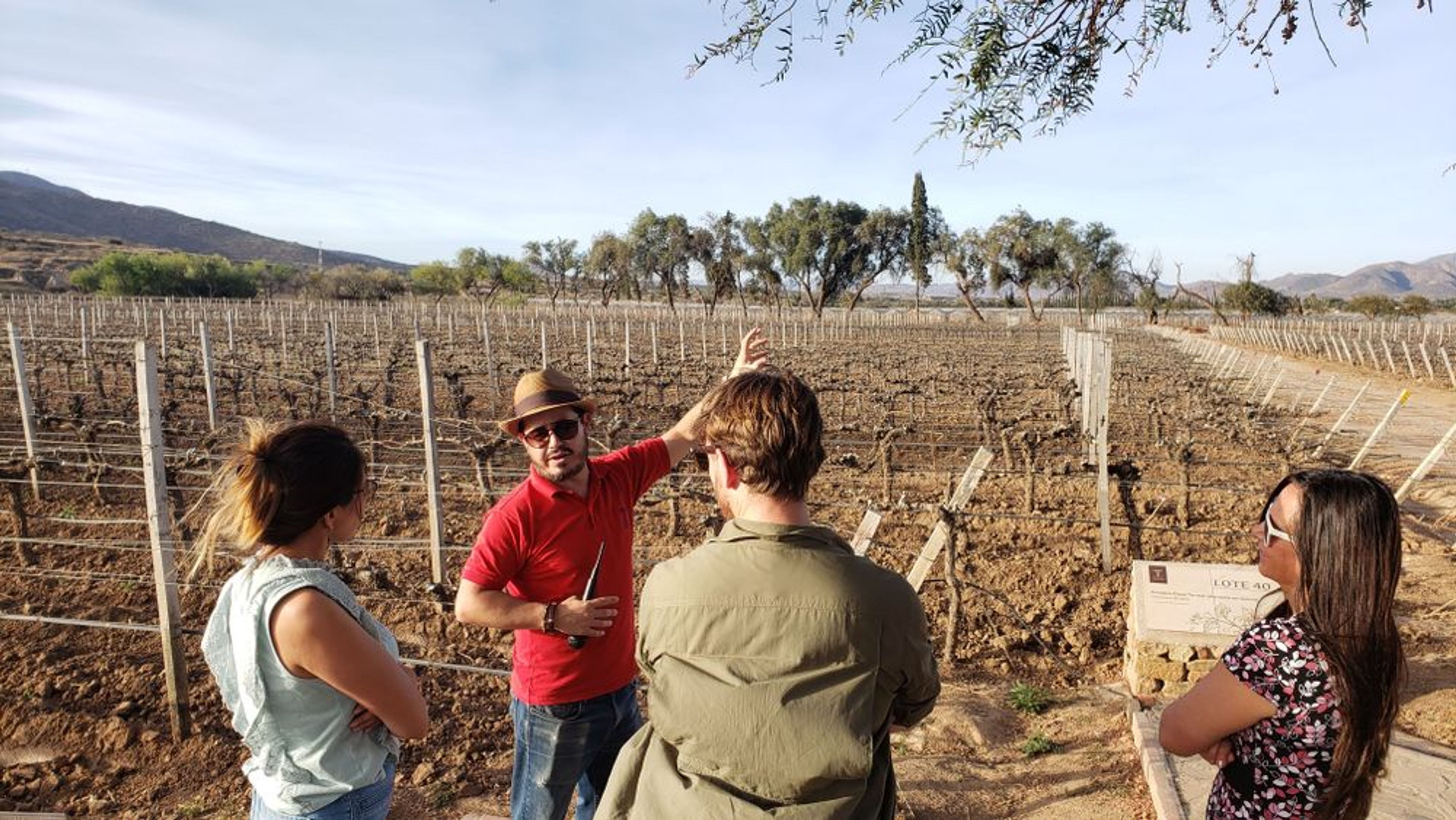 home of Tannat in Bolivia