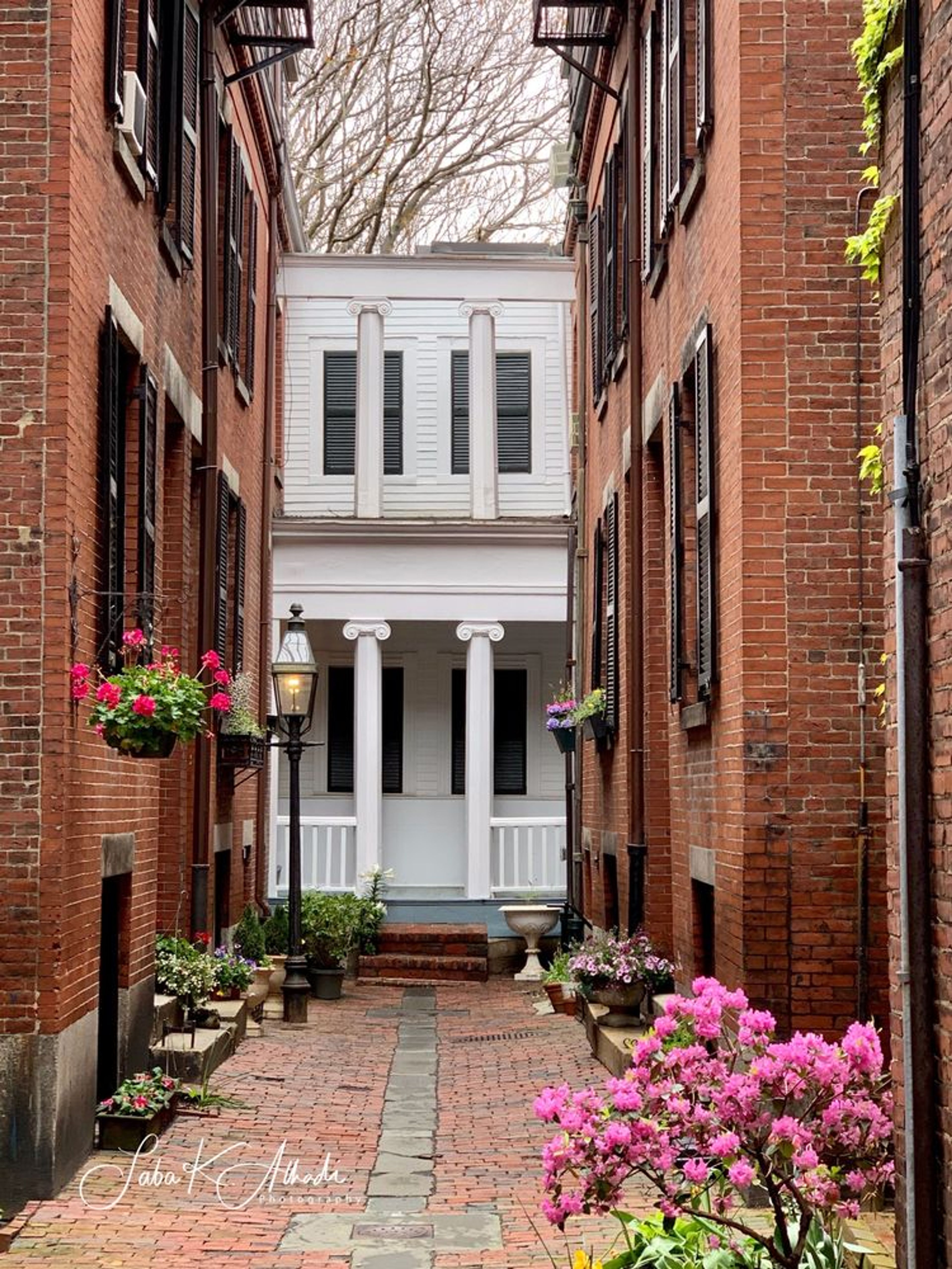 Cheers! Beacon Hill & Back Bay Combo Private Tour - Image 4