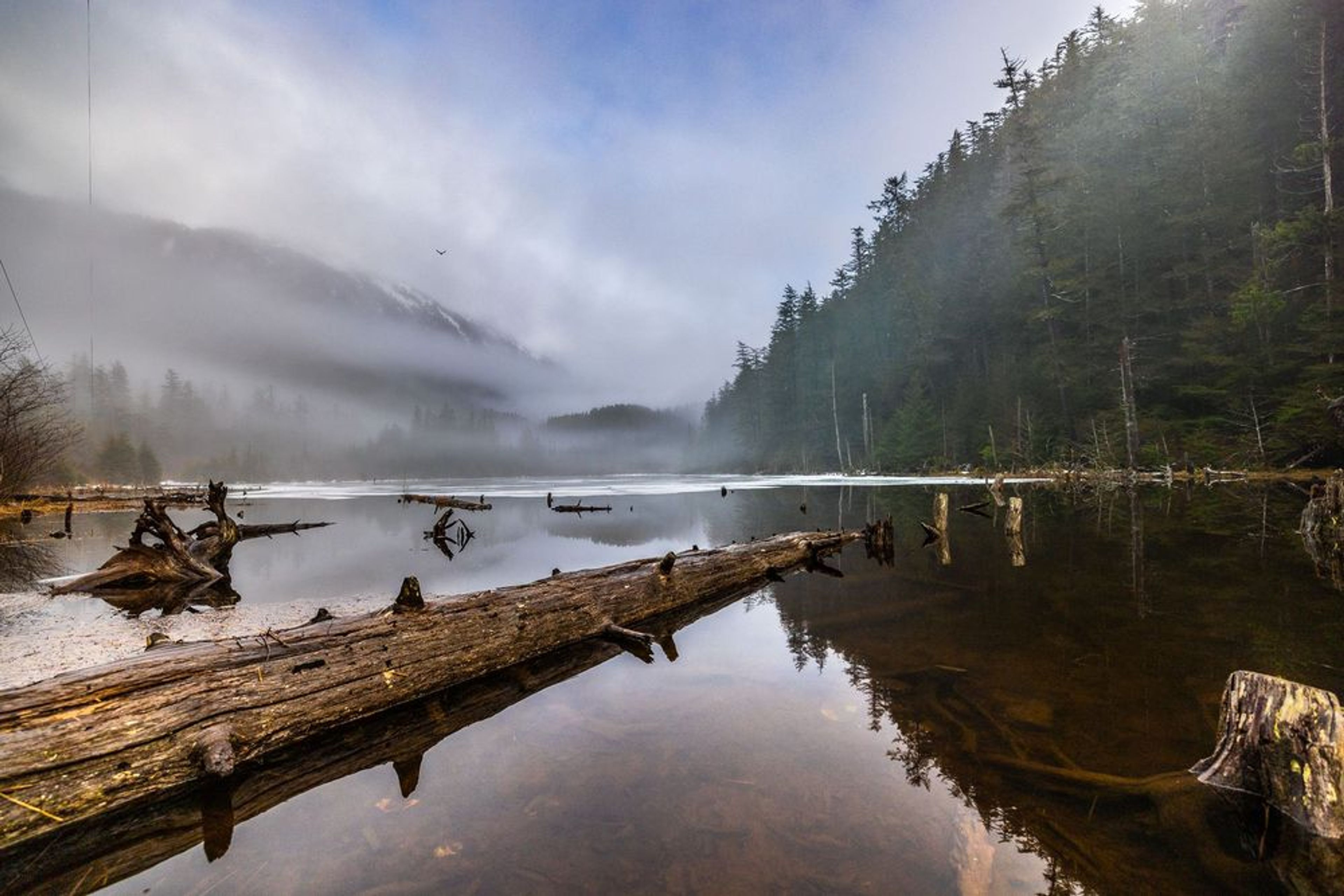 Forest Lakes & Silver Bay (Thimbleberry & Heart Lake Loop) - Image 3