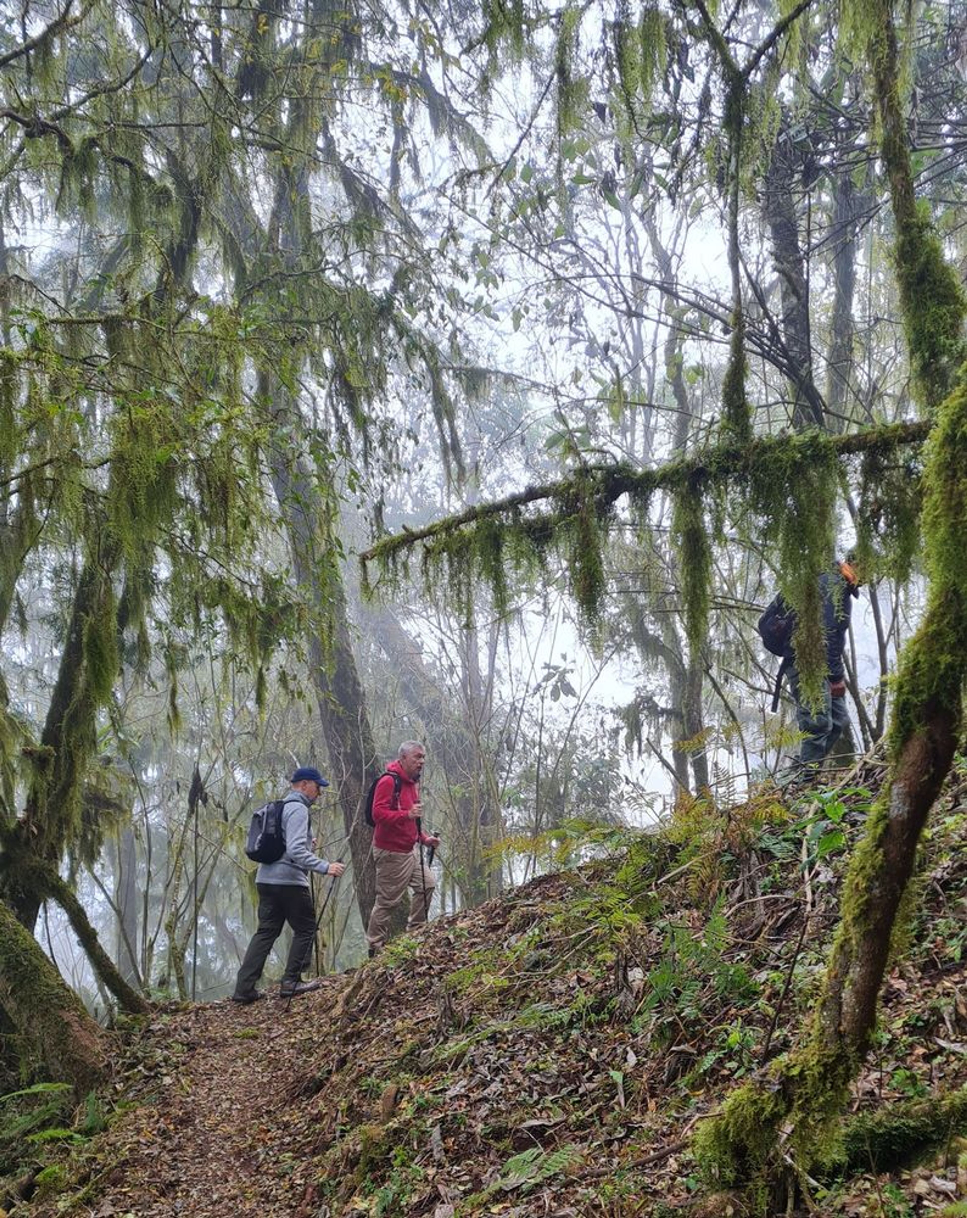 Calilegua cloud forest and Milei's war on waste