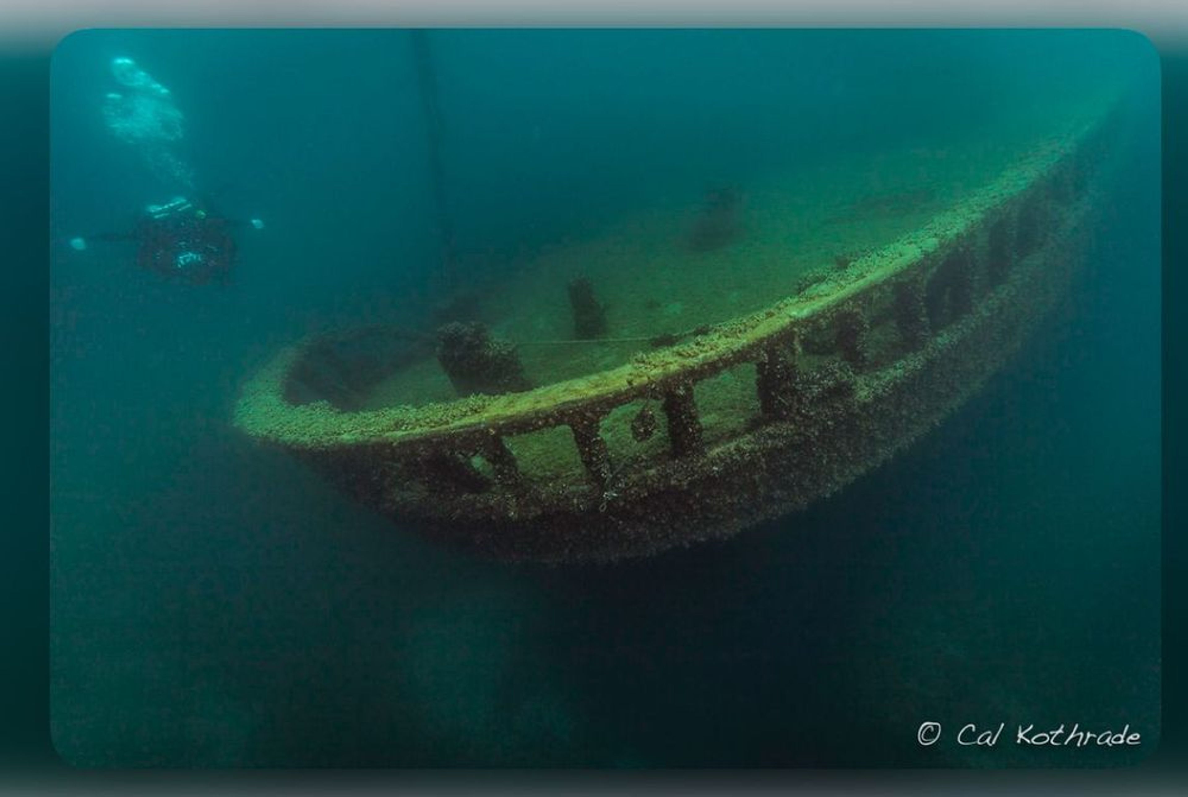 Cayuga