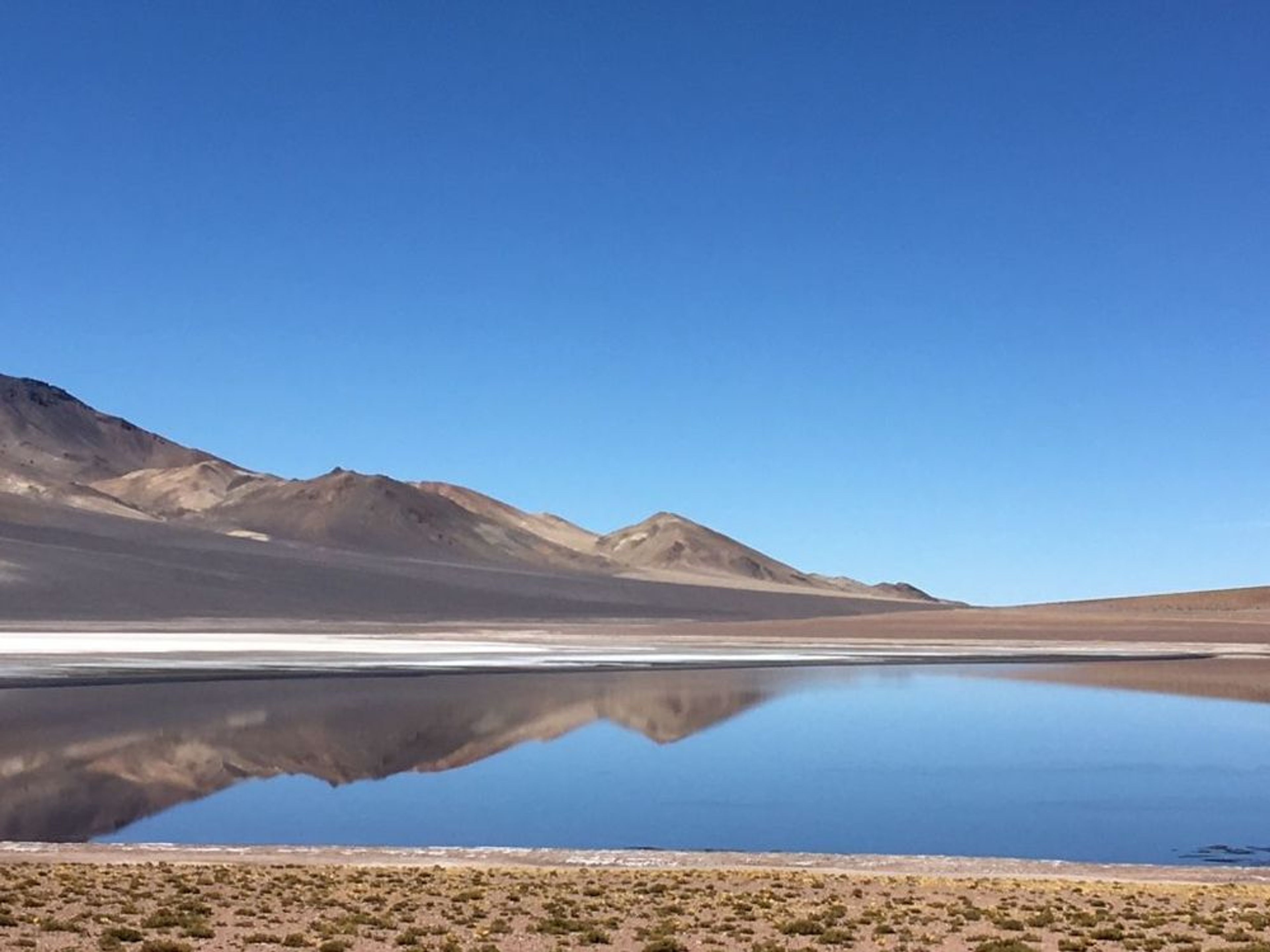 Chile: Atacama Desert - Image 4