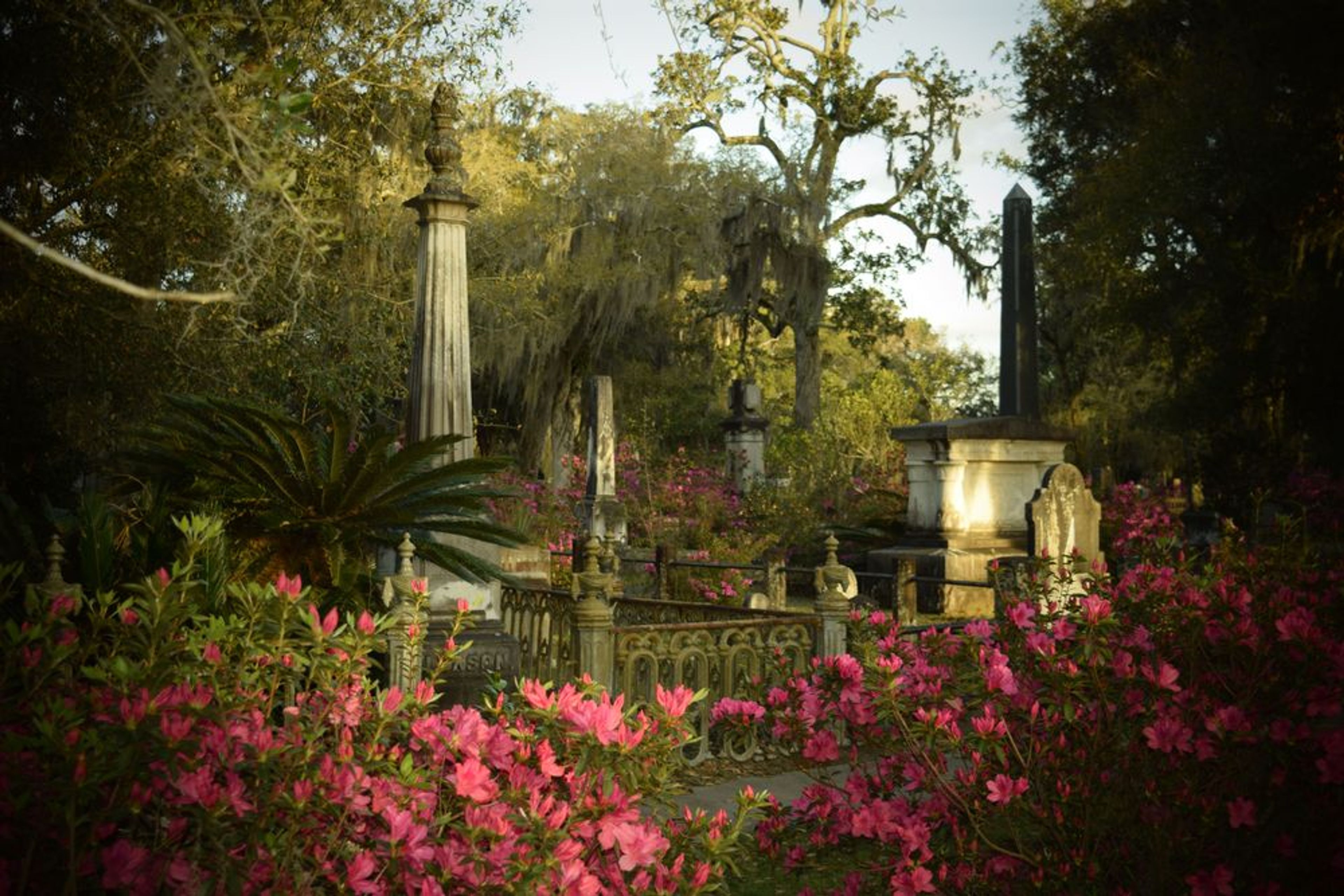 The Golden Hour - A Morning Bonaventure Tour - Image 4