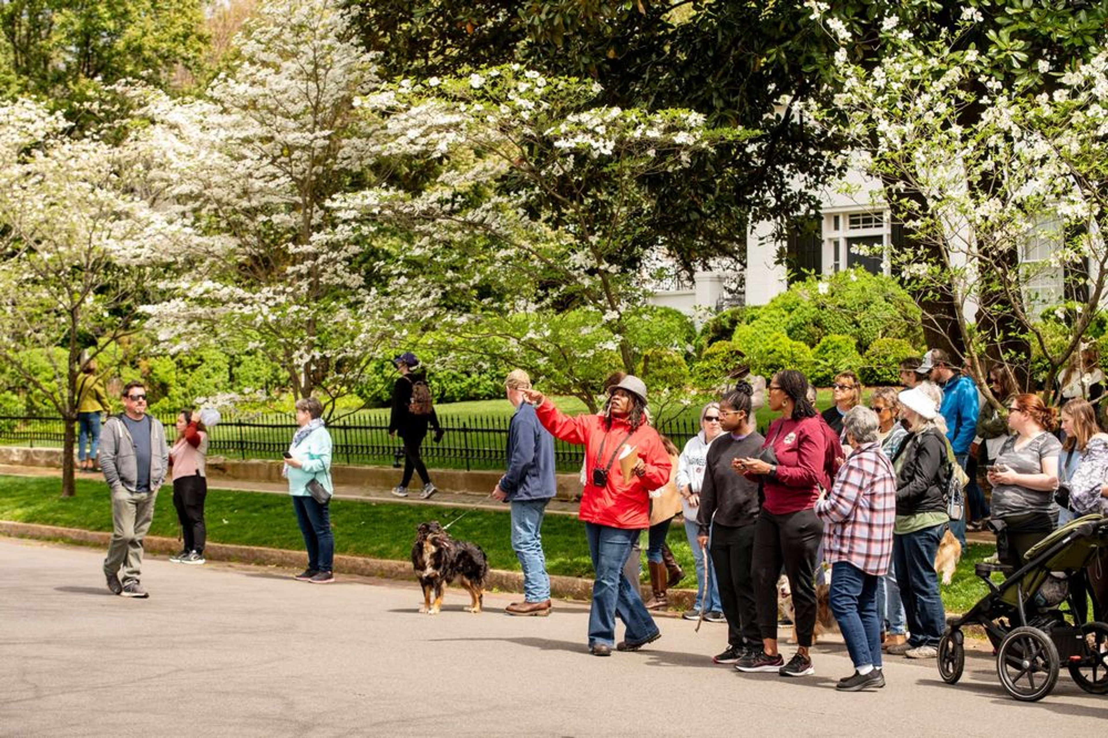 Pre-Civil War Homes Walking Tour: Twickenham - Image 1