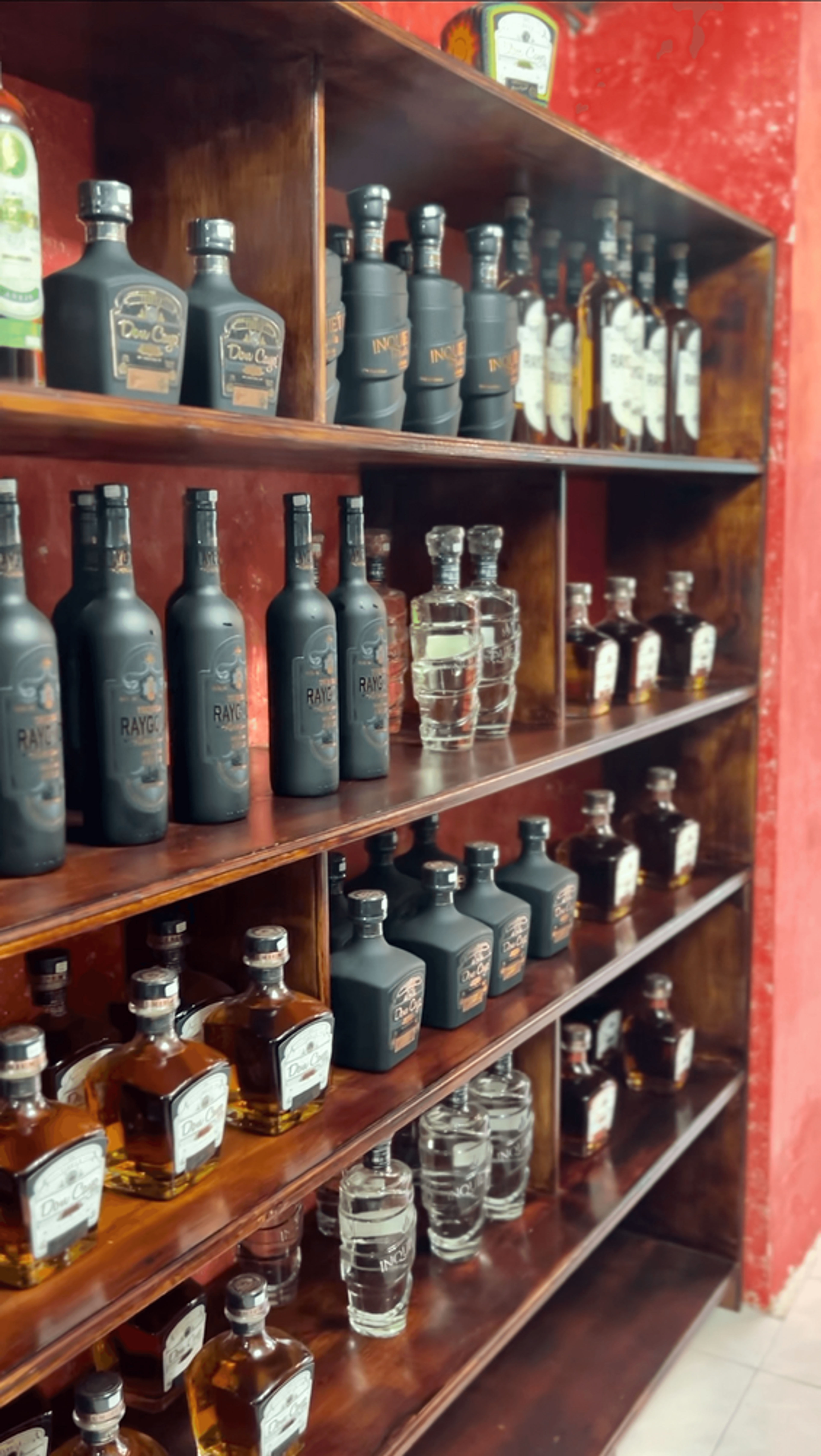 San Jose del Cabo Tequila, Mezcal and Mixology Tasting Experience, small groups - Image 2