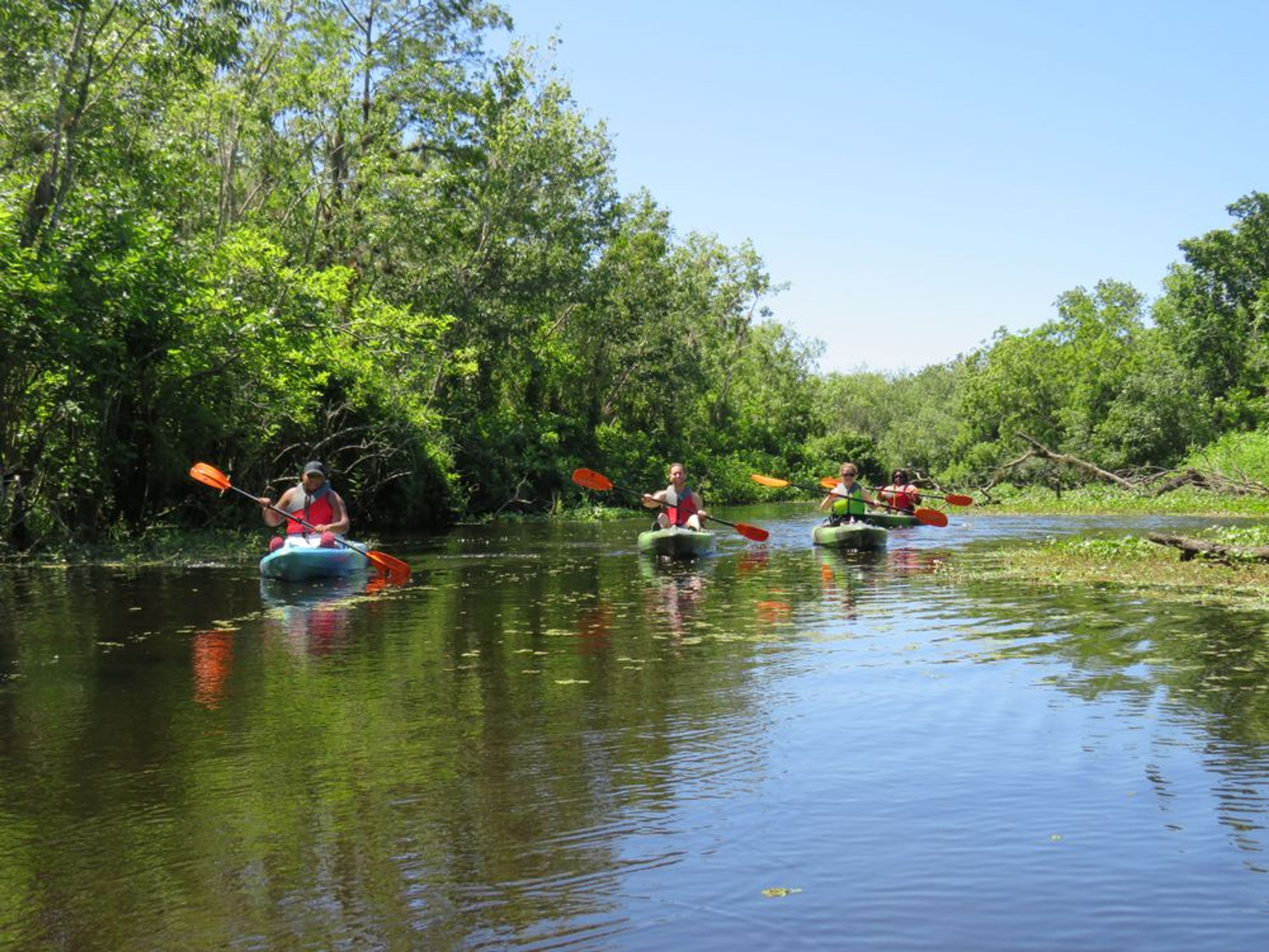Discover Kayaking - Image 4
