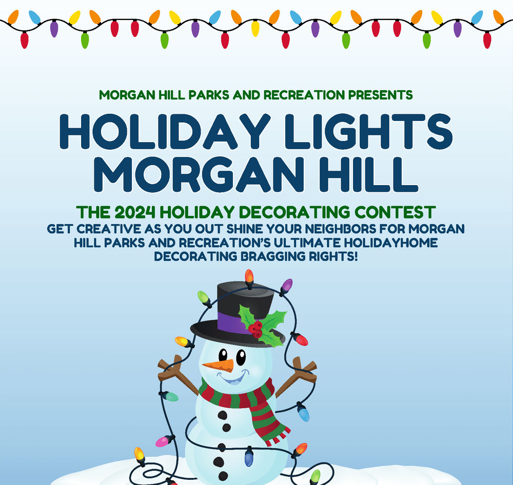 2026 Family Holiday Lights Cable Car Tour  - Image 3