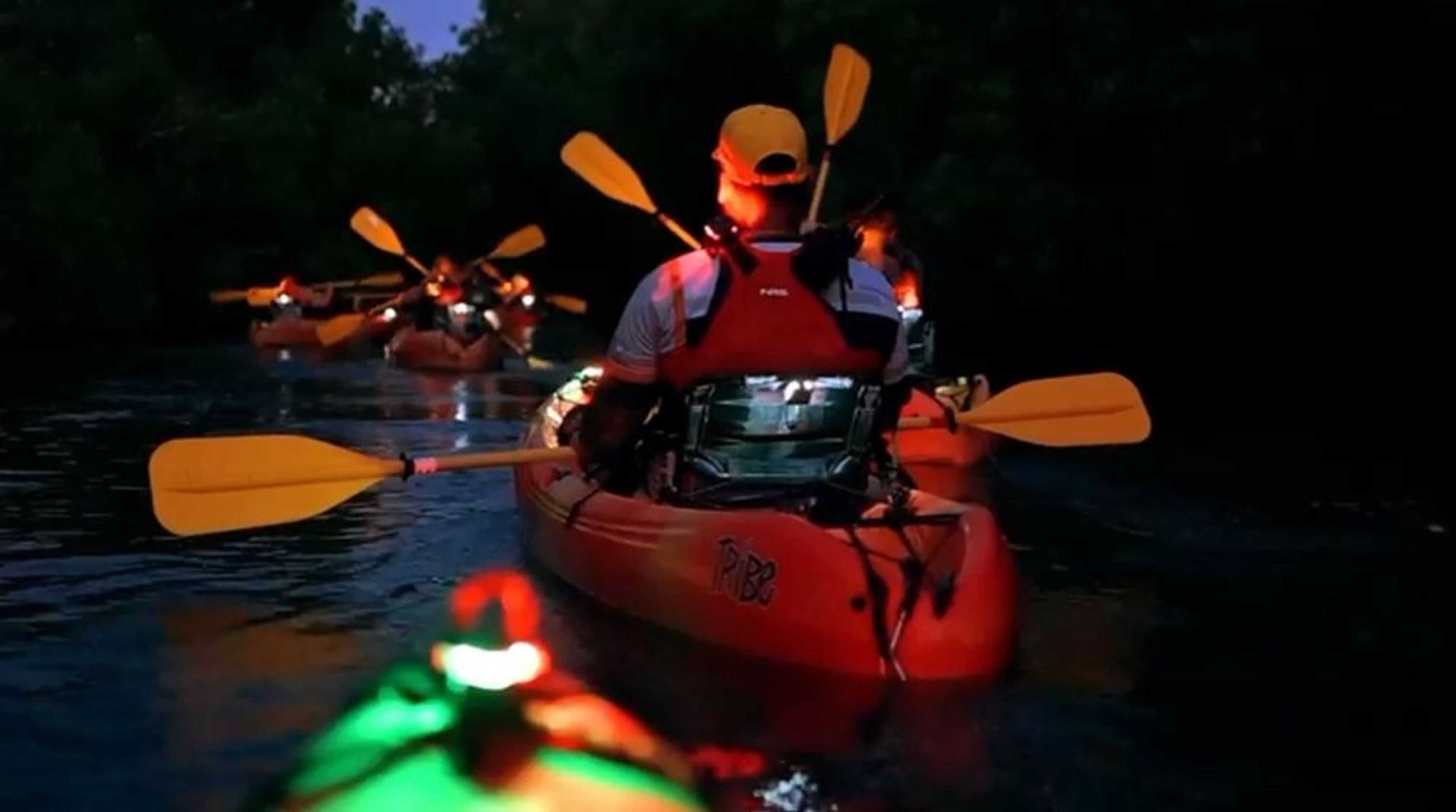 Bioluminescent Bay Night Kayak Adventure - Image 4