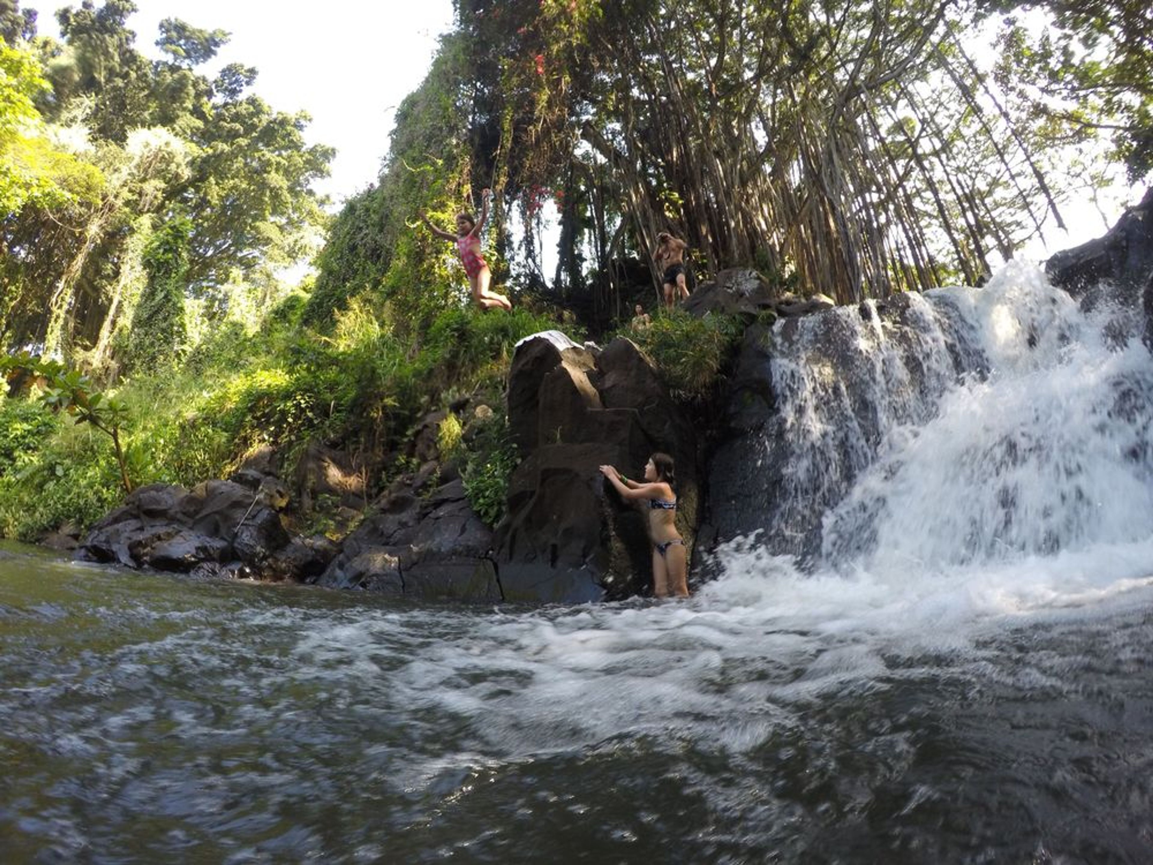 Half-Day Surf & Turf Adventure Tour - Image 2