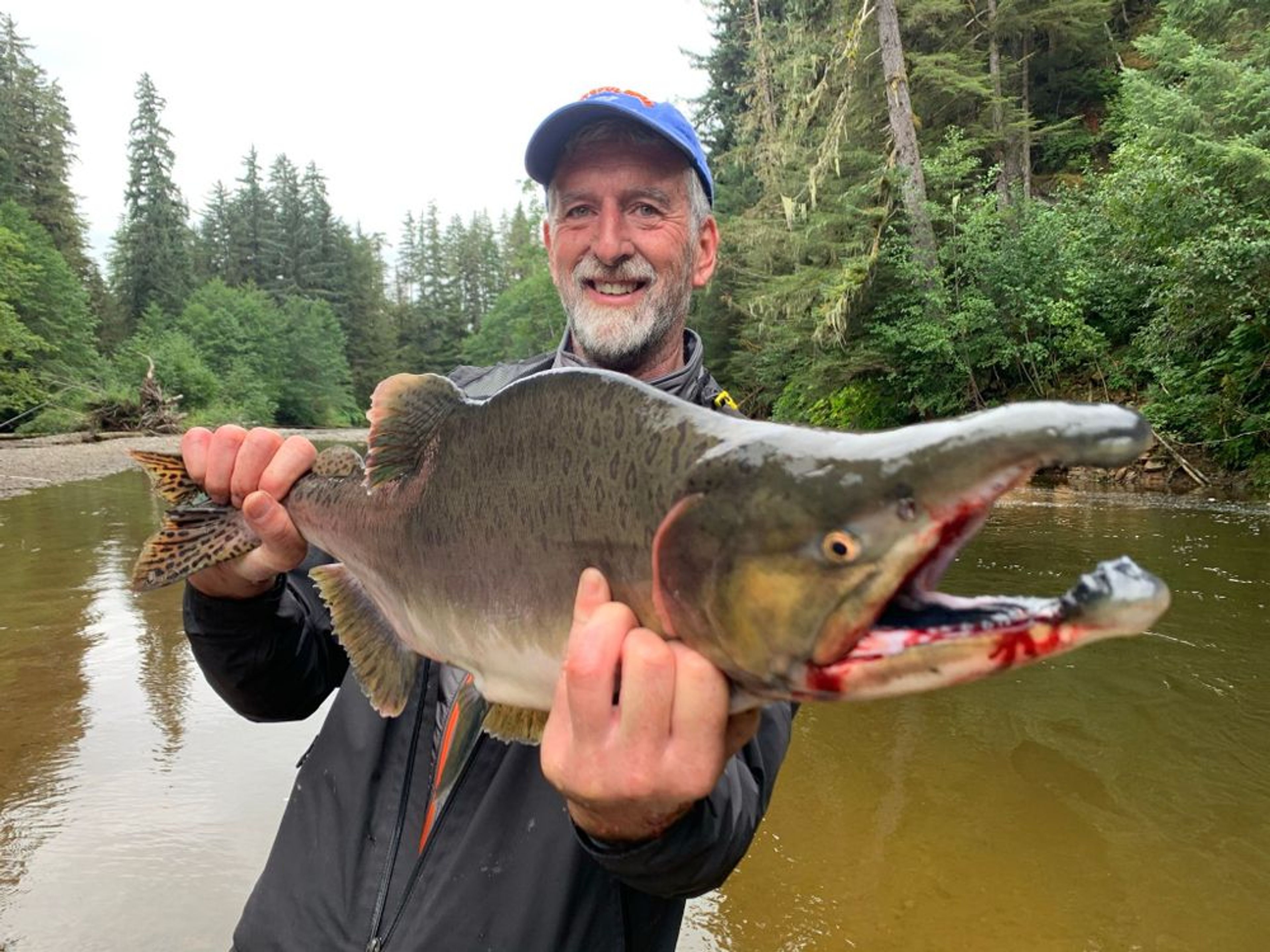 Great Alaskan Stream Fishing Adventure - Image 3