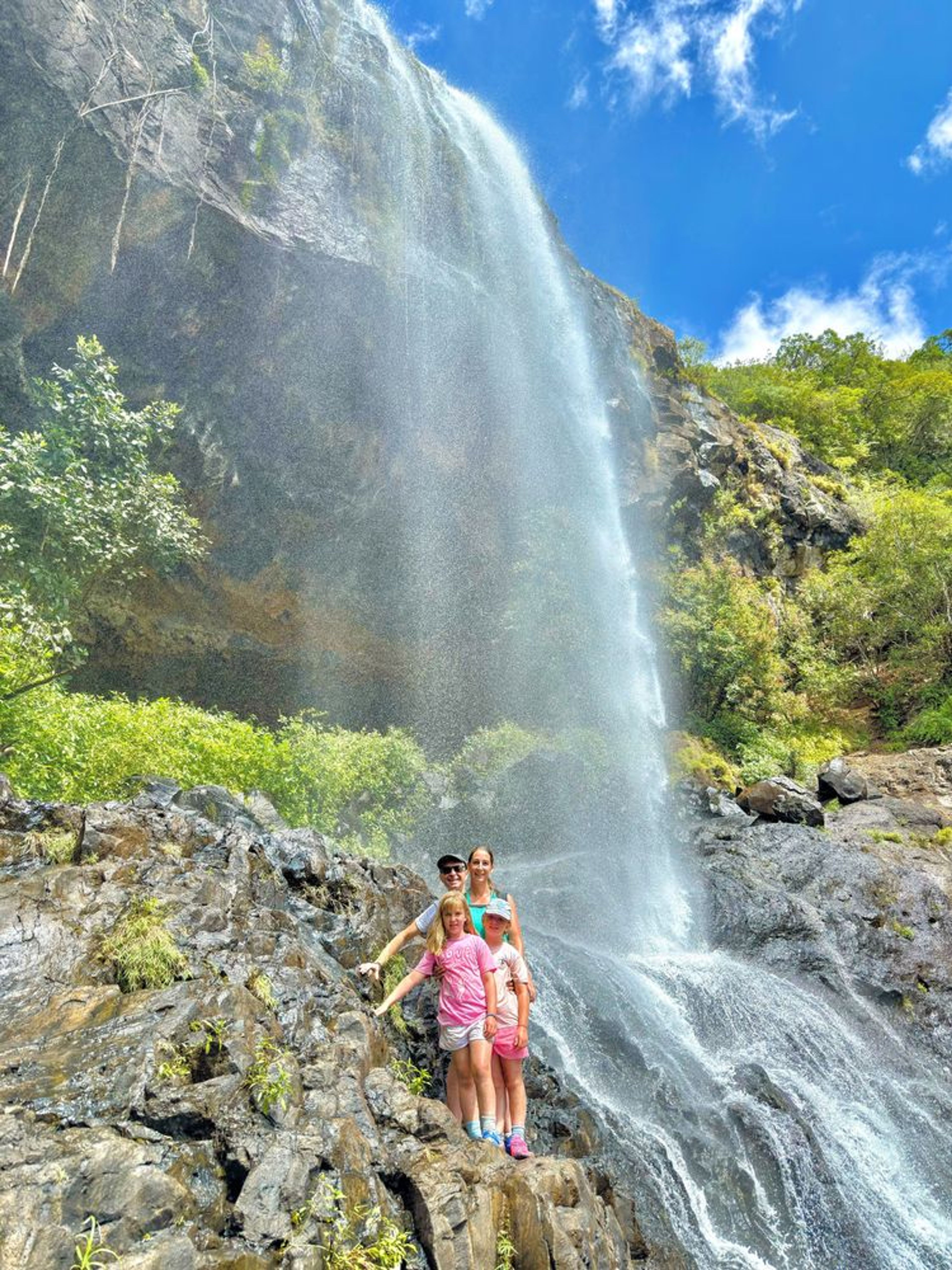 Mauritius Central Wilderness Hike & Wine Tour - Image 4
