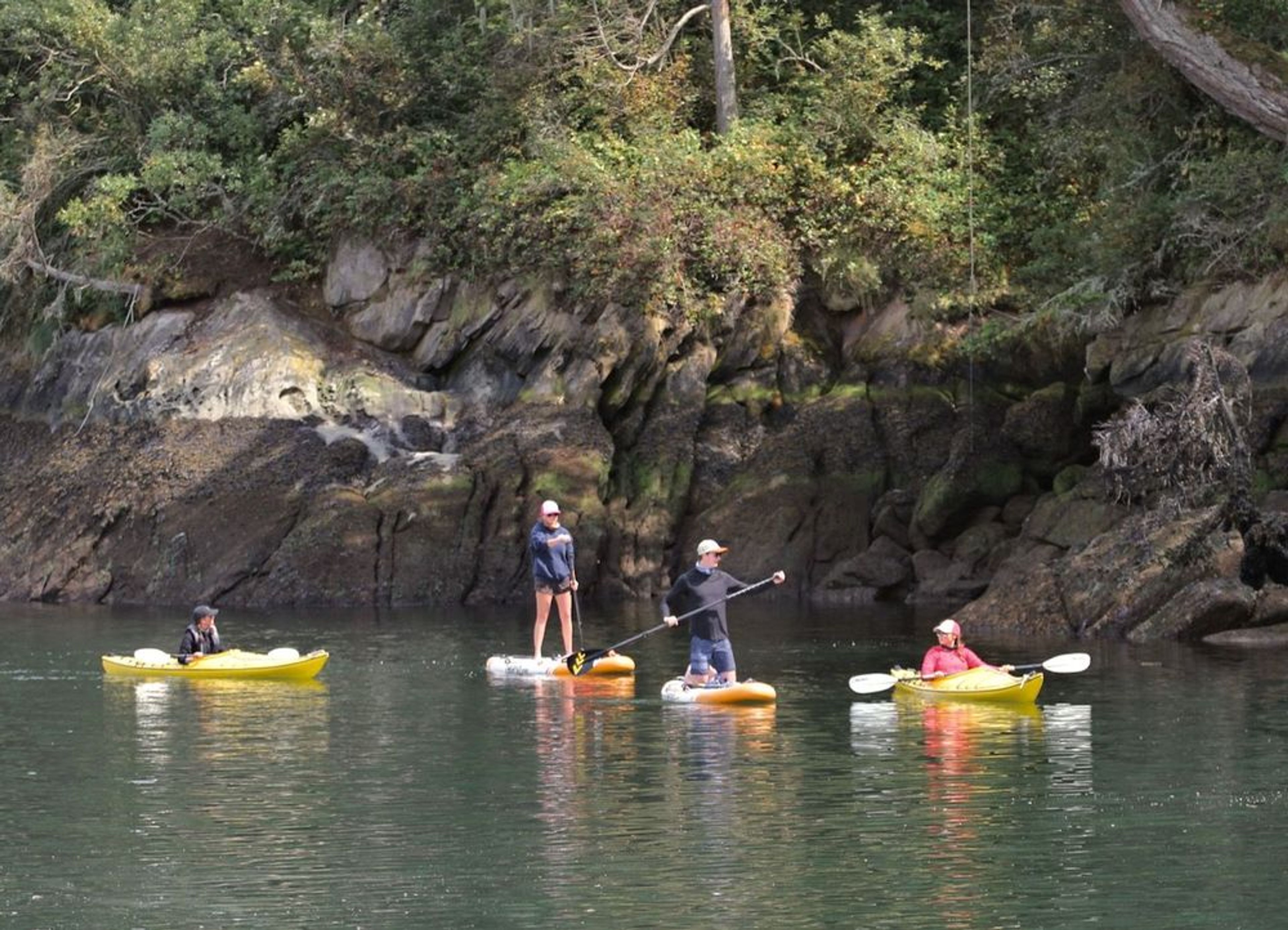 6-Day All Inclusive Sailing Tour of the San Juan Islands 	 - Image 4