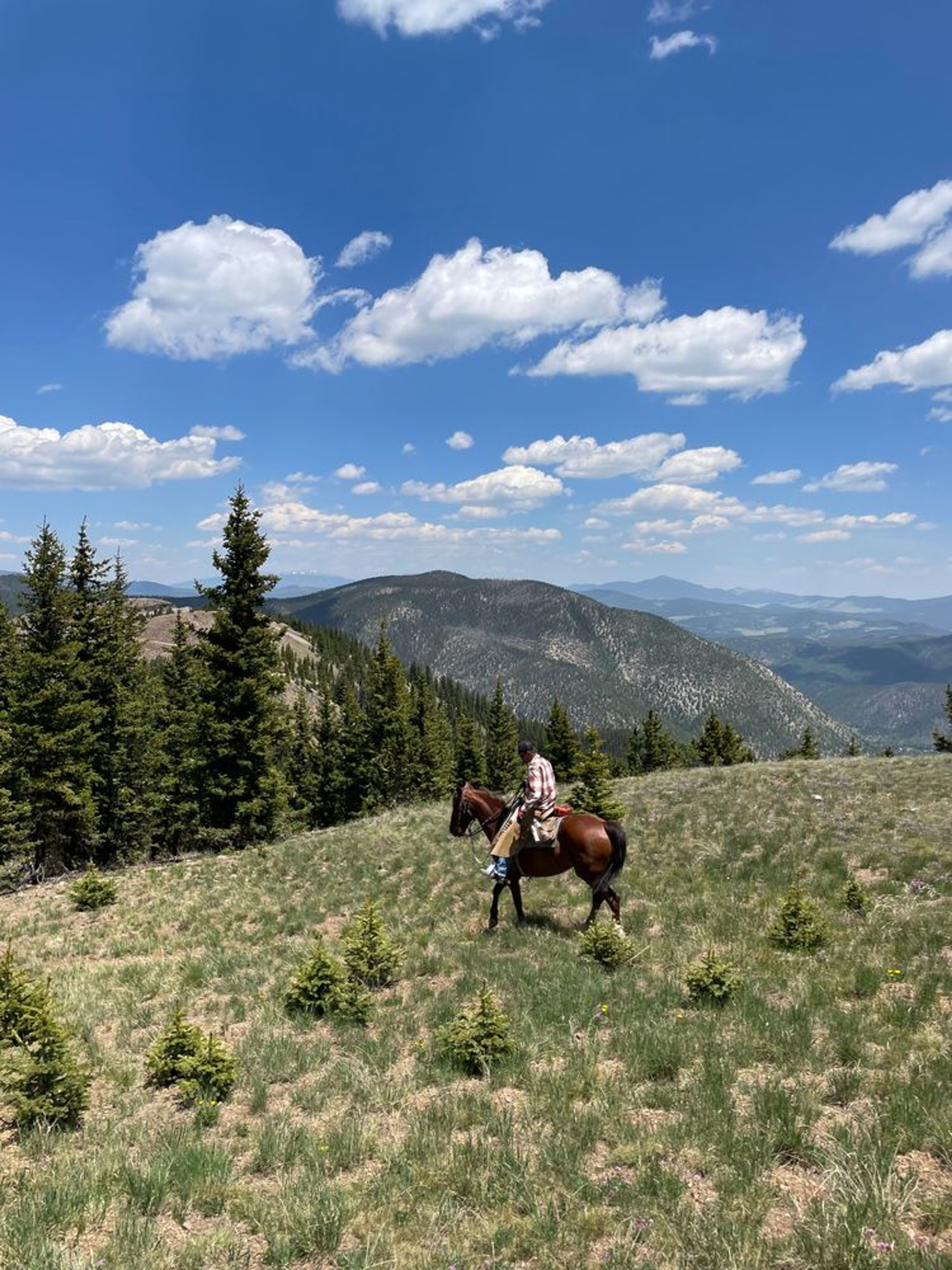 Taos Ski Valley - All Day Ride  - Image 1