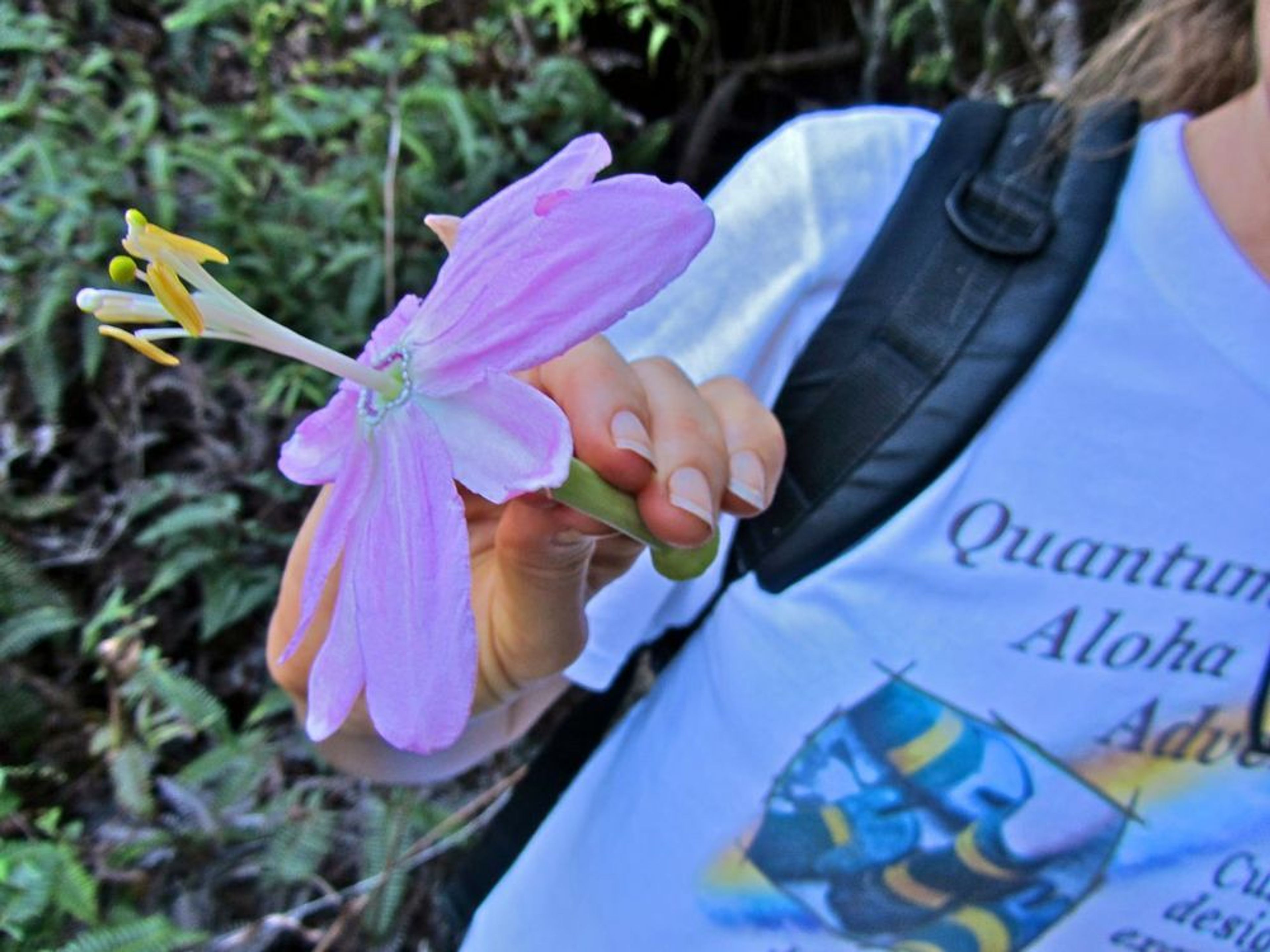 Multi-Day Hiking Excursions - Image 4