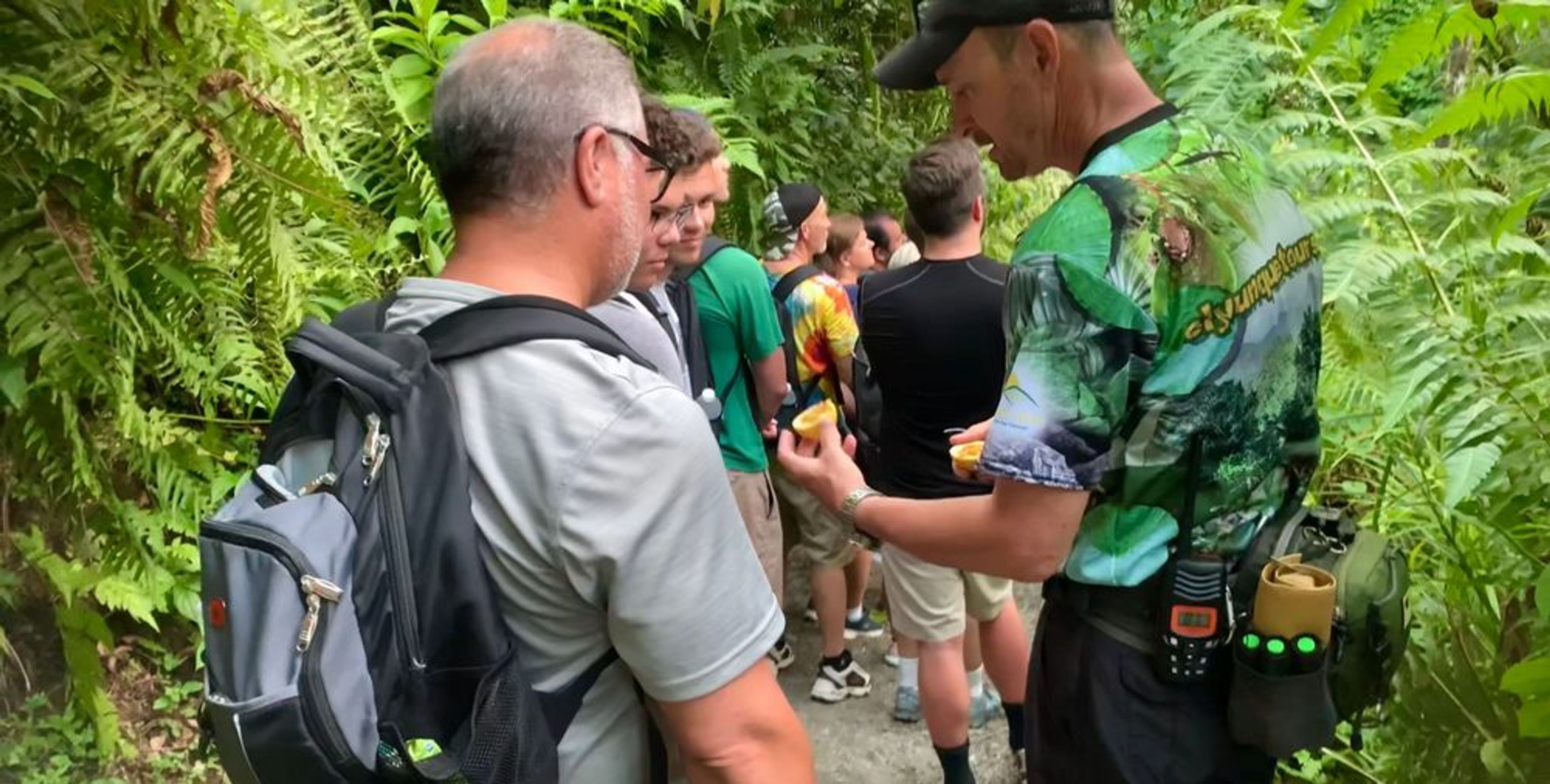 Wild & Scenic Rainforest Nature Walk - Image 3