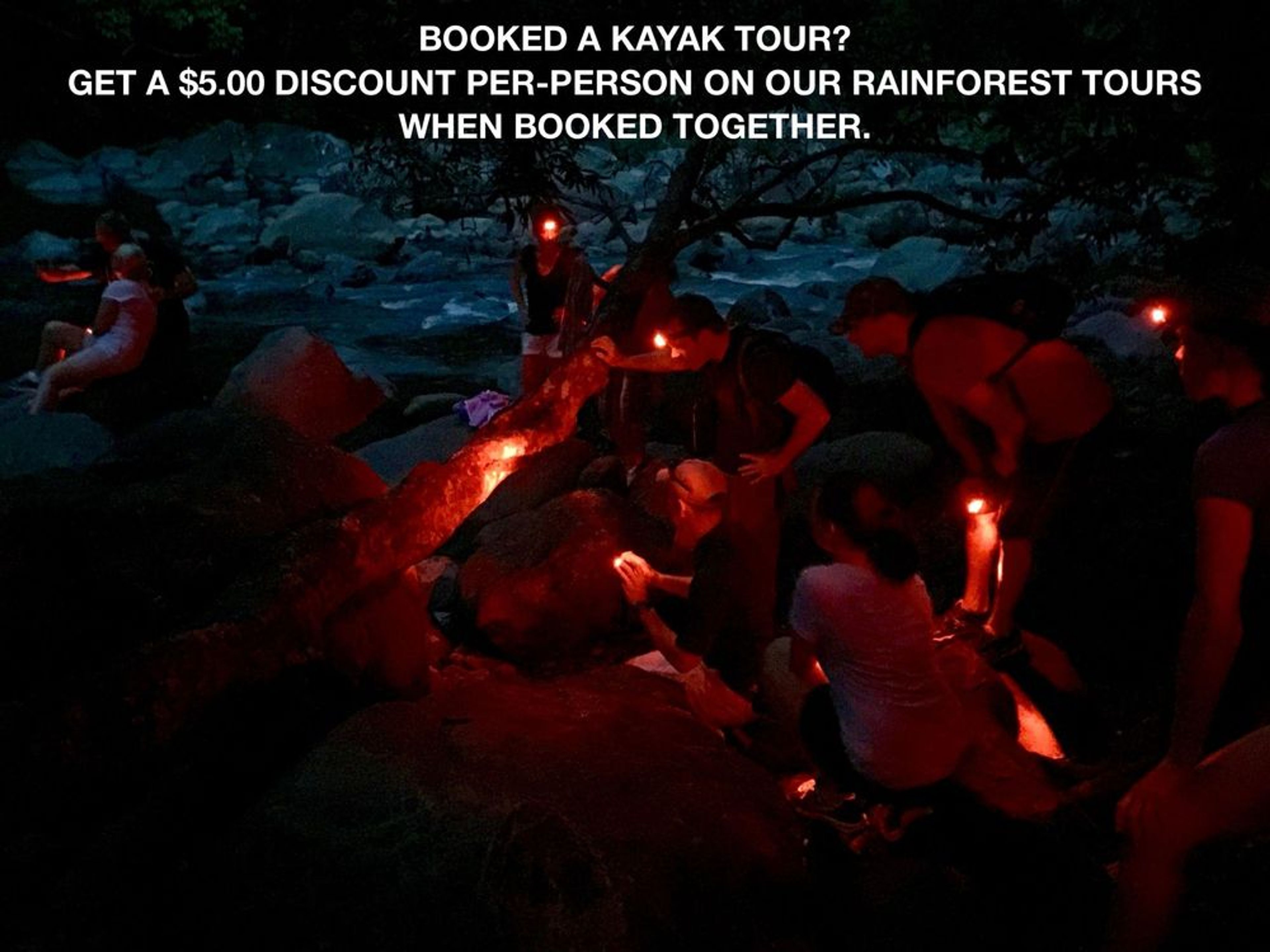 El Yunque Rainforest Night Walk - Image 1