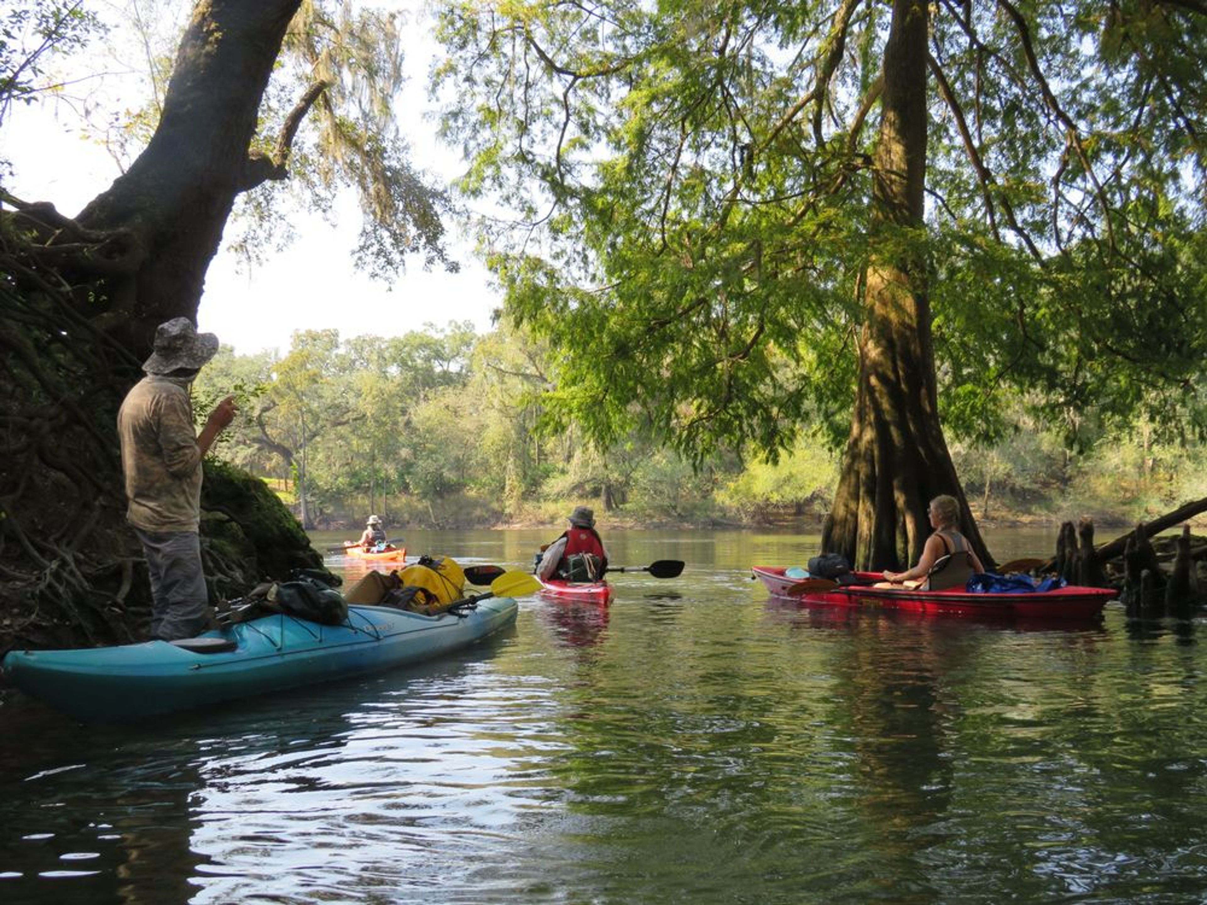Suwannee River Sea Kayak Skills Expedition - Image 2