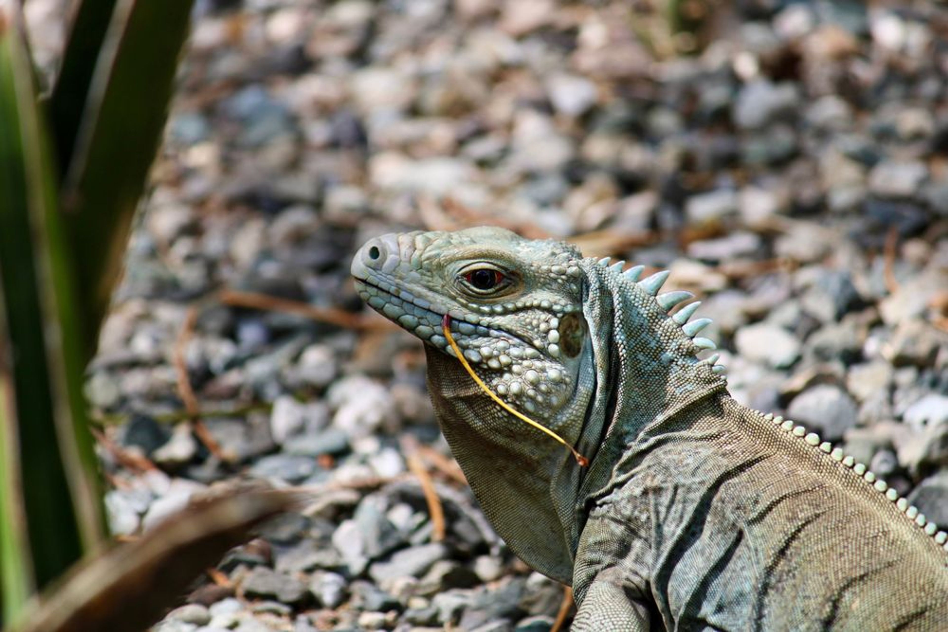 Nature & Heritage Tour - Image 3