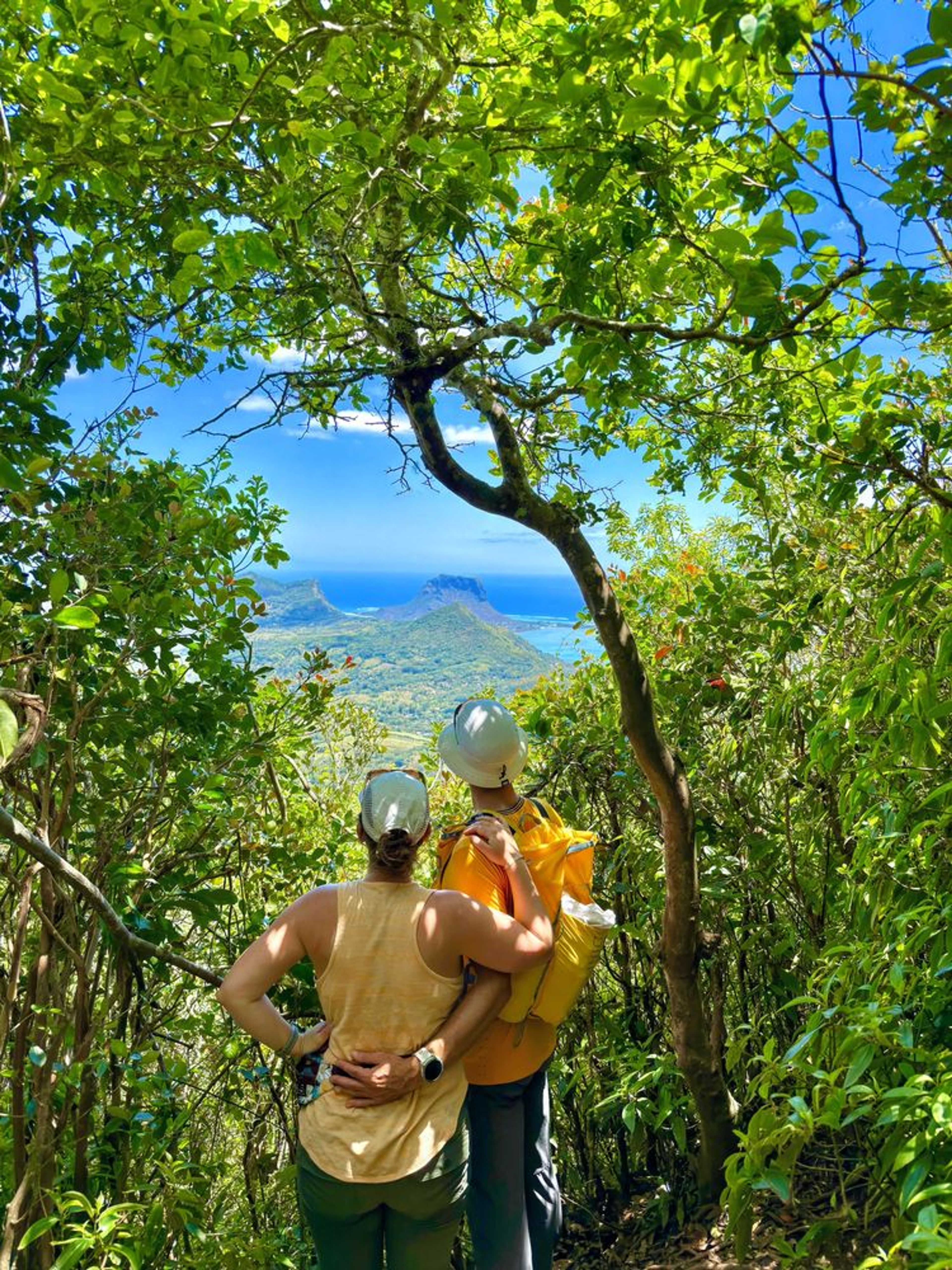 Top of Mauritius Hike & Wine Tour - Image 4