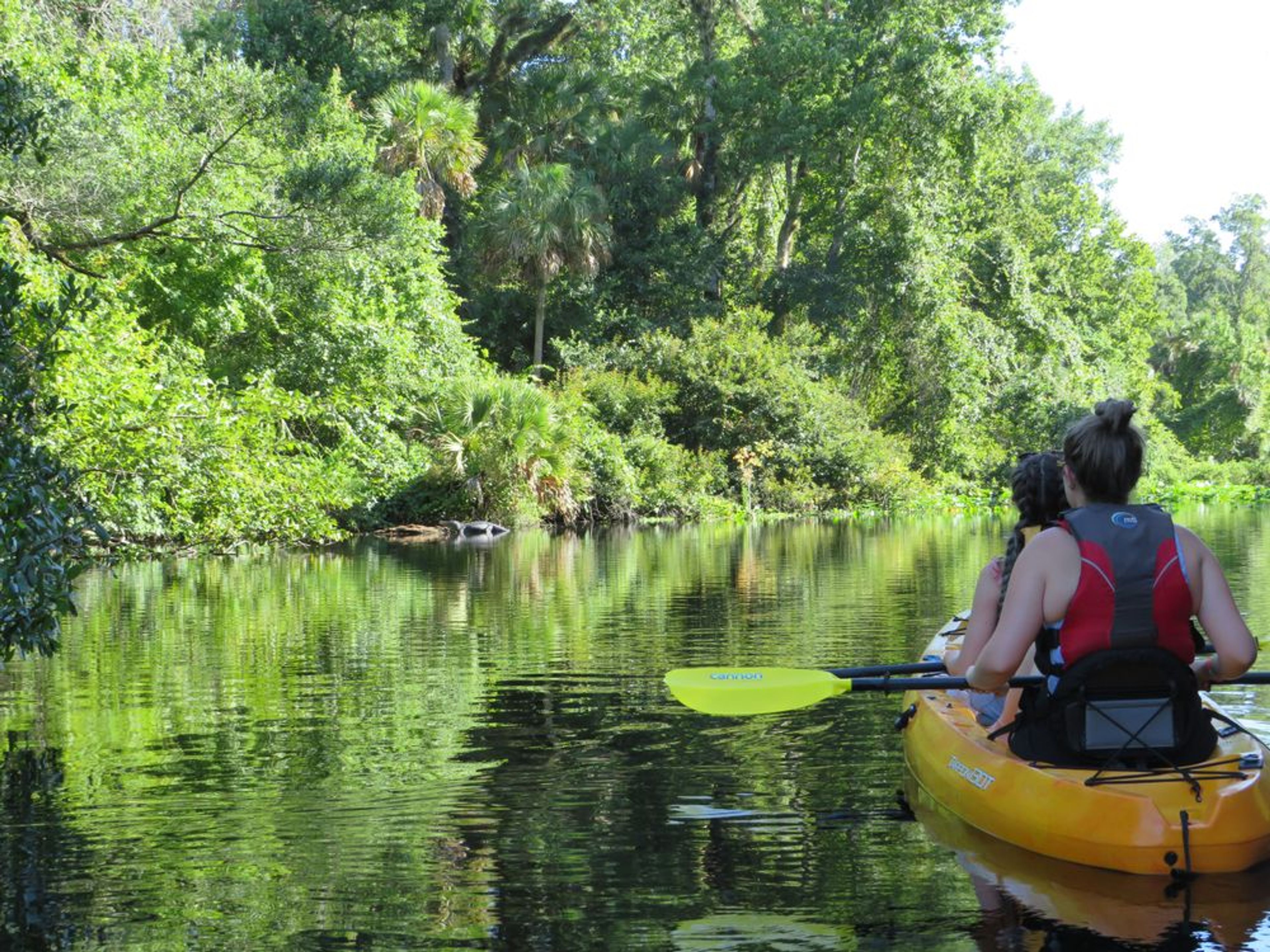 Emerald Cut Kayak Adventure - Image 4