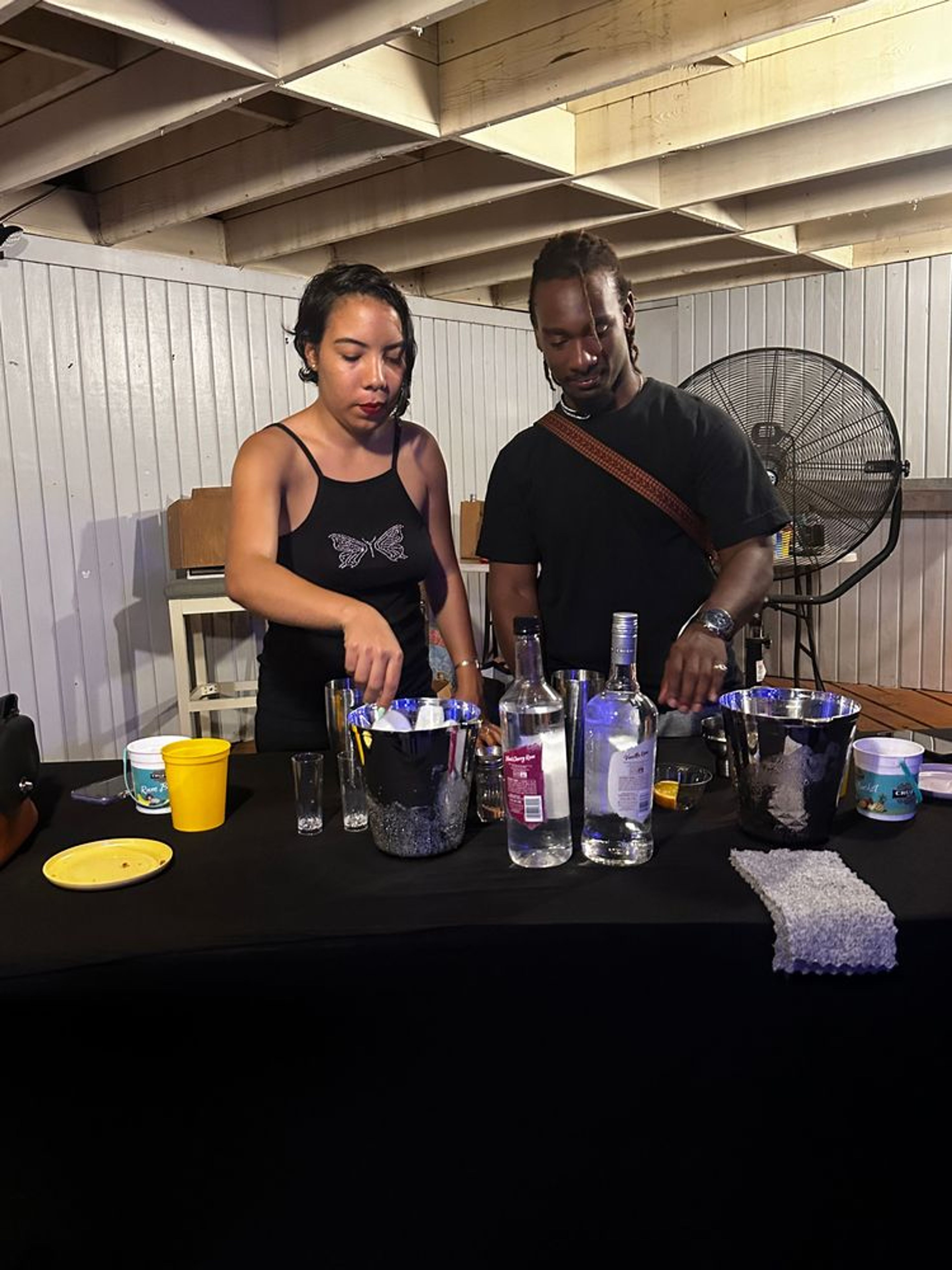 Christiansted Sip and Savor Mixology Class - Image 3