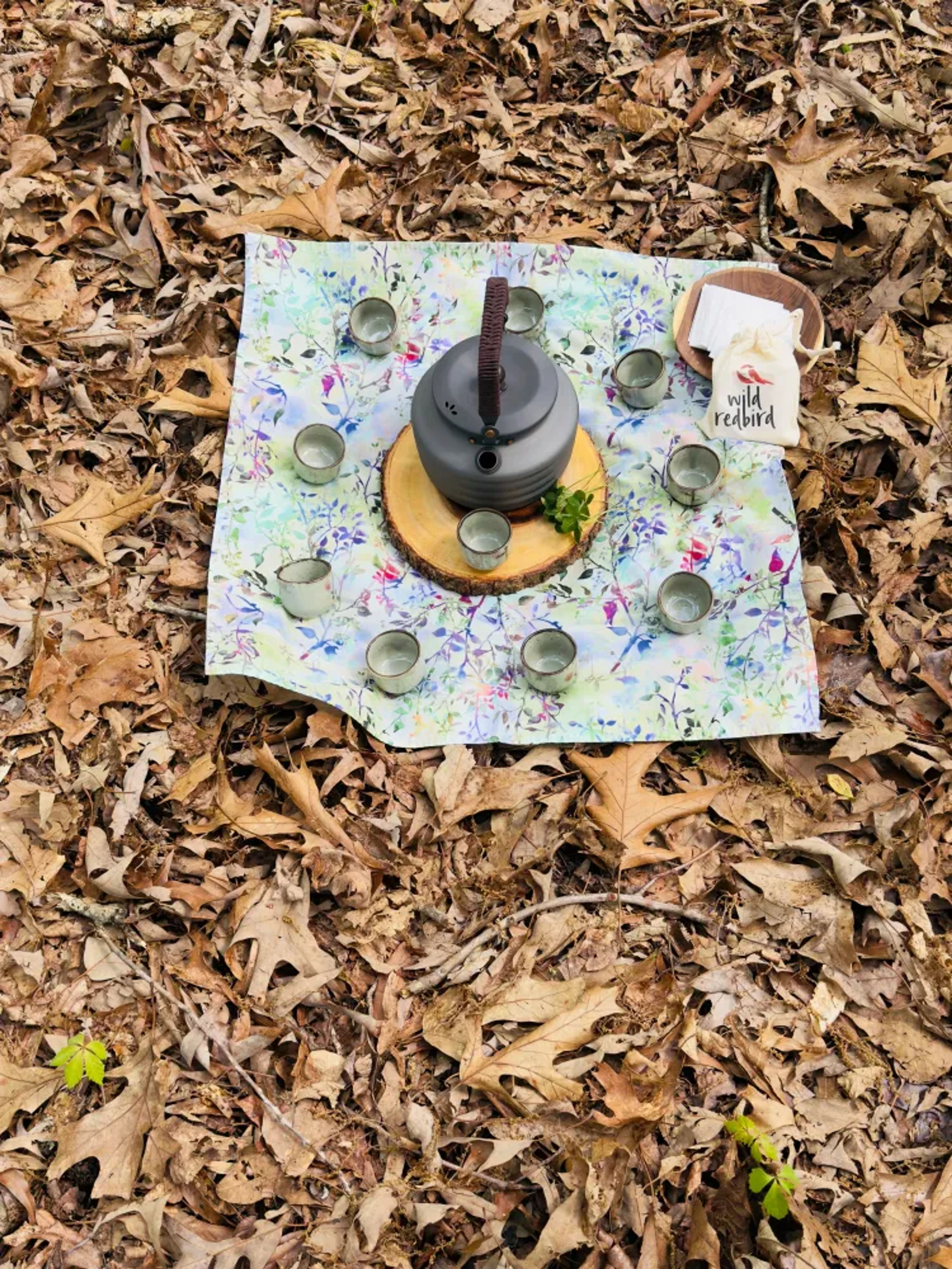 Mauritius Tropical Forest Therapy Walk  - Image 4