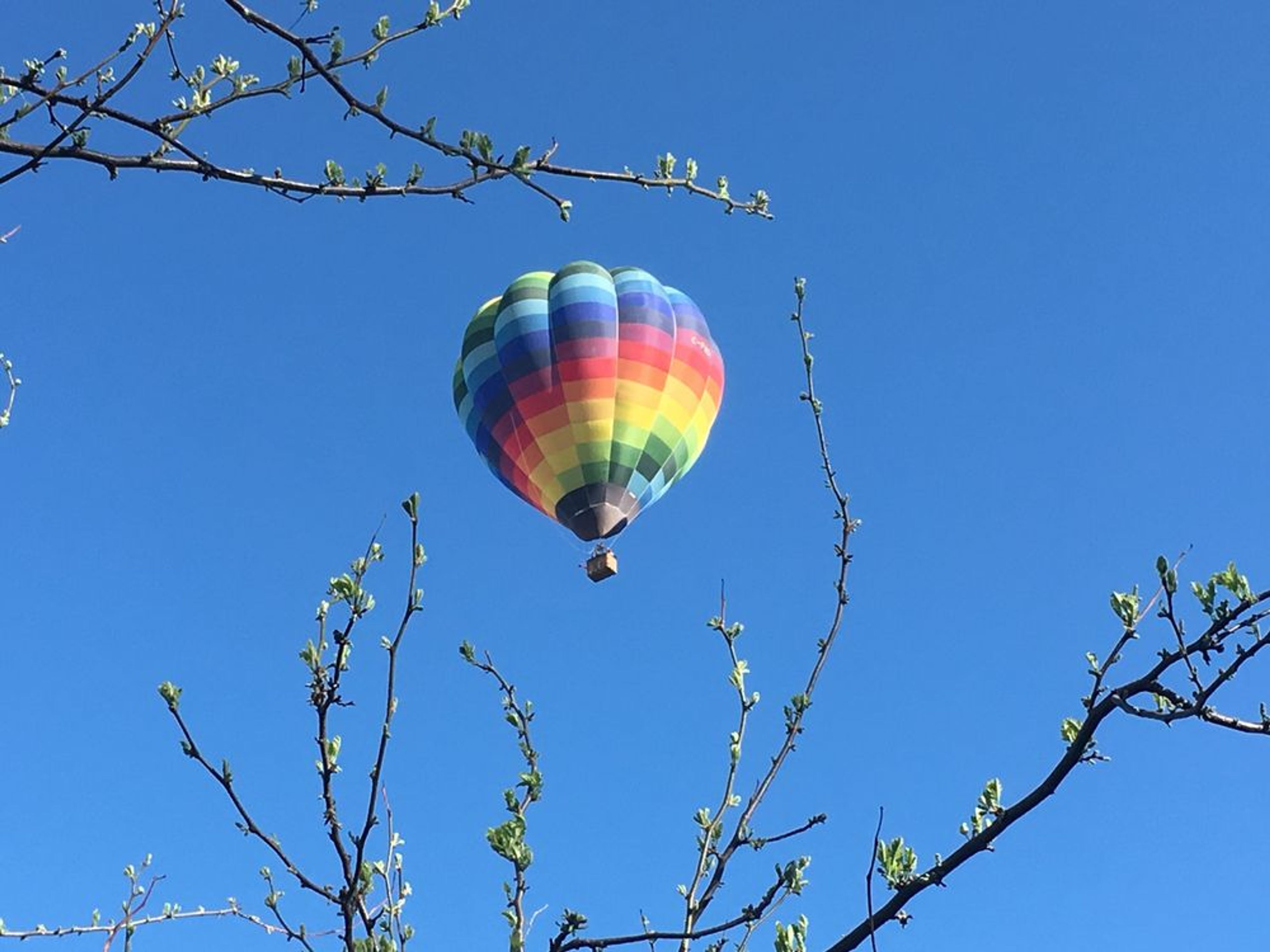 Hot Air Balloon Rides Kelowna: Standard Flight - Image 4
