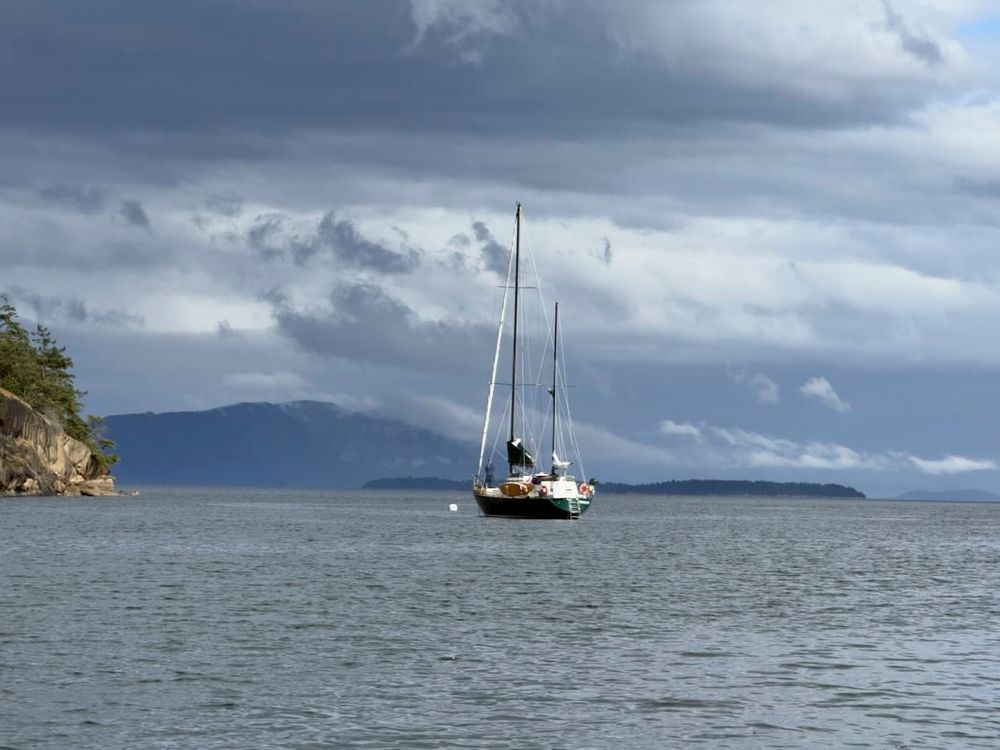 Salish Sea Weekly News Update